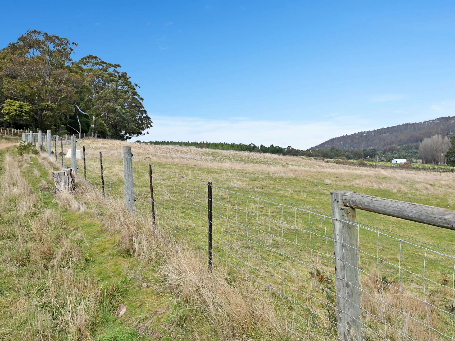 Lot 2,  Crosswells Road, Mount Lloyd For Sale by Farmbuy.com - image 19