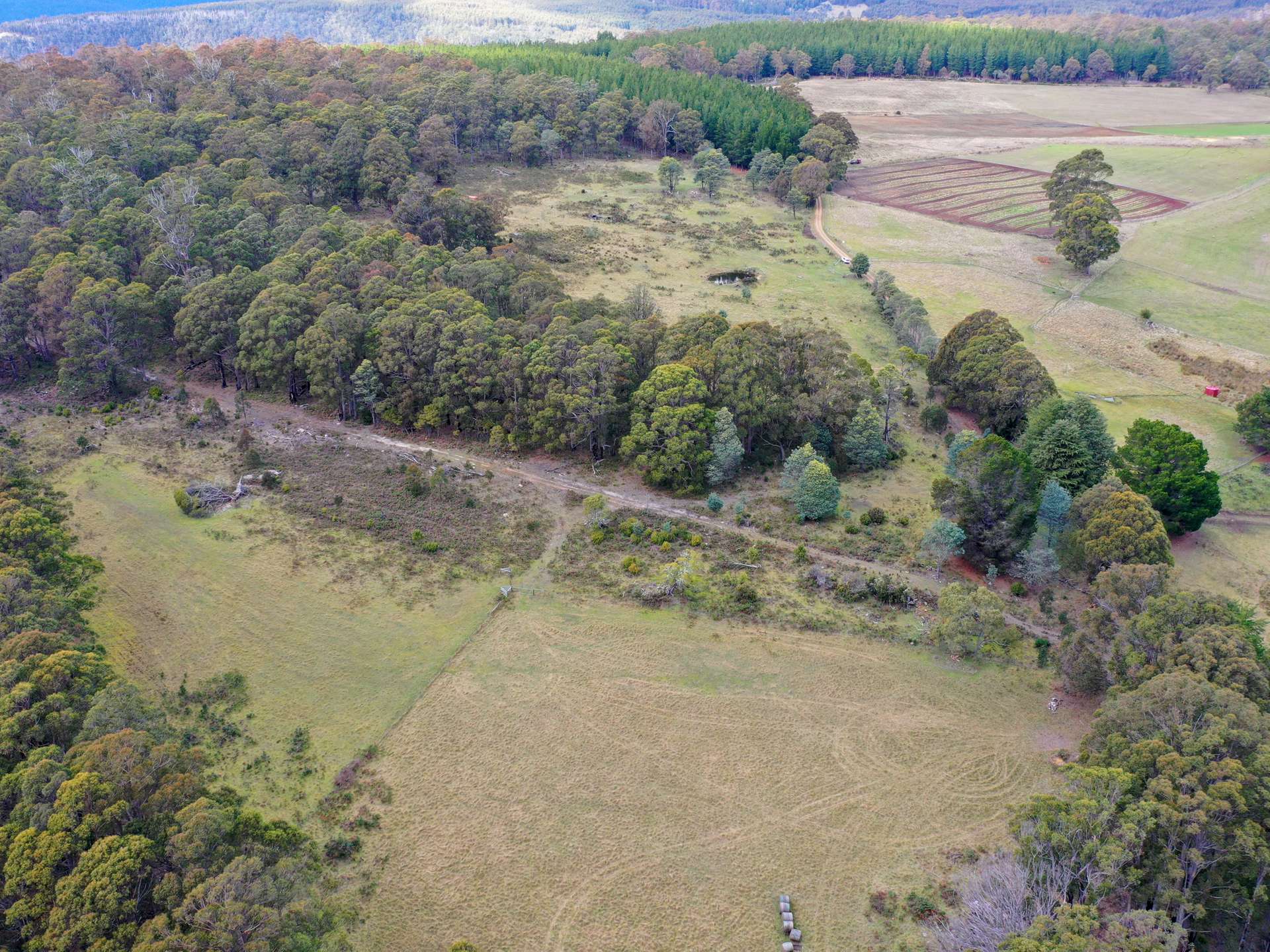 Lot 2,  Crosswells Road, Mount Lloyd For Sale by Farmbuy.com - image 4