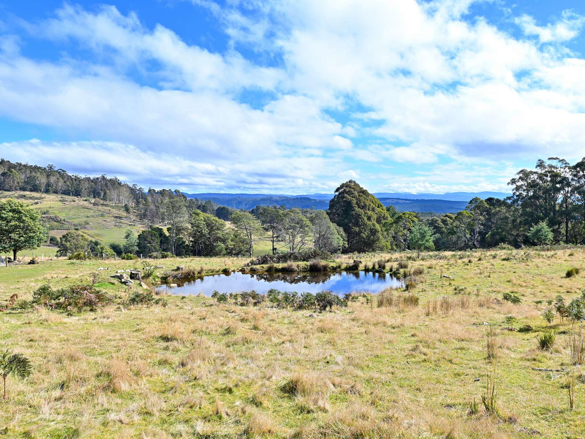 Lot 2,  Crosswells Road, Mount Lloyd For Sale by Farmbuy.com - image 7