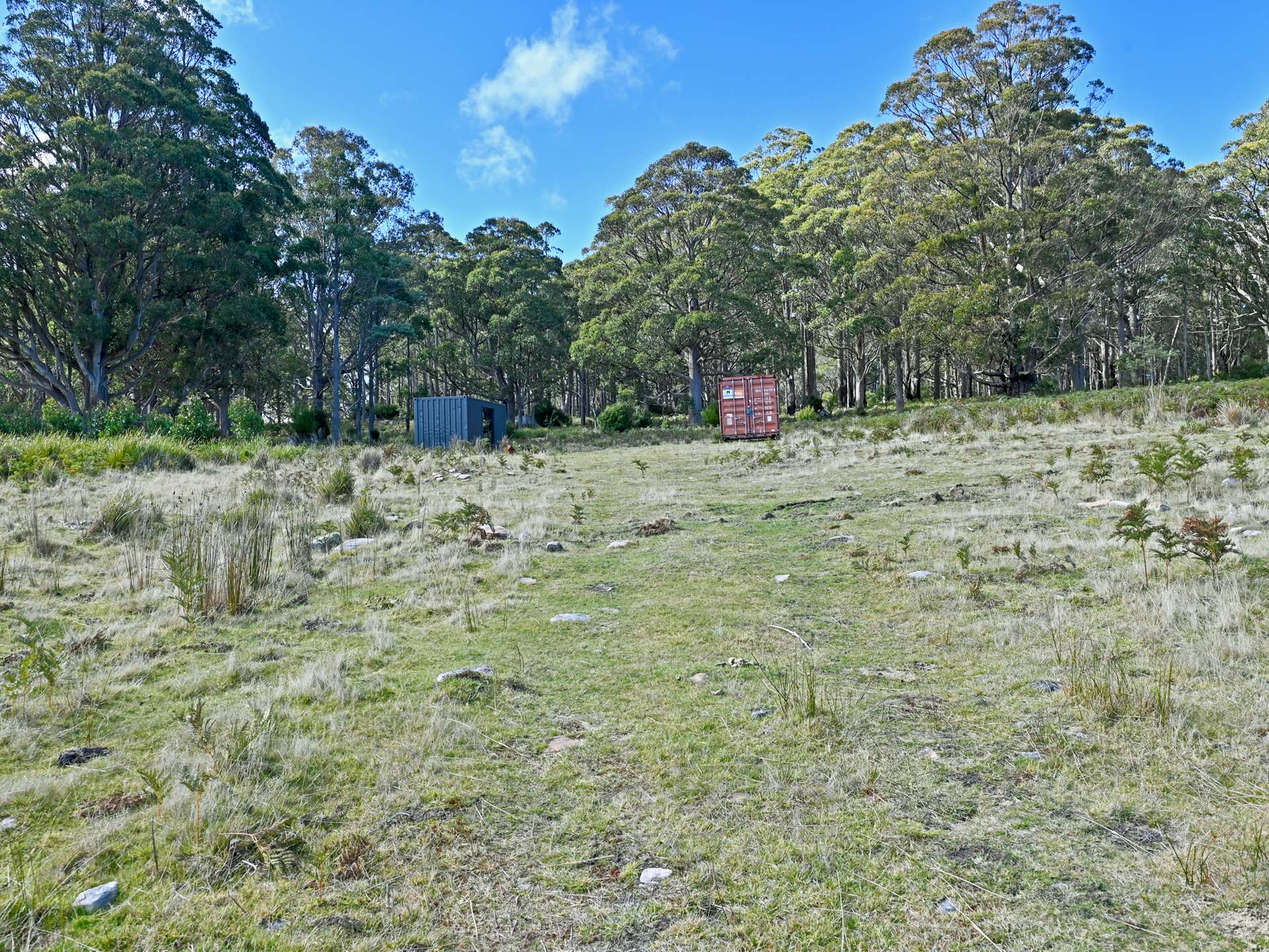 Lot 2,  Crosswells Road, Mount Lloyd For Sale by Farmbuy.com - image 10