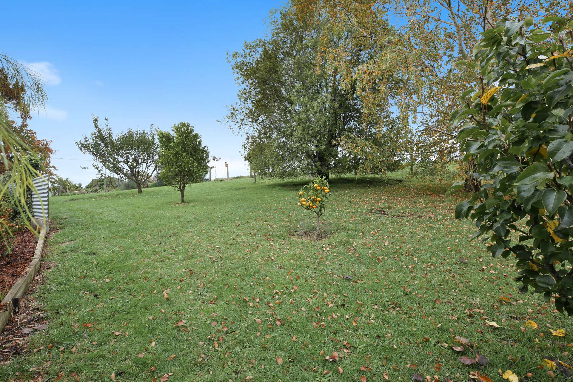 615 Old Sale Road, Drouin West For Sale by Farmbuy.com - image 25