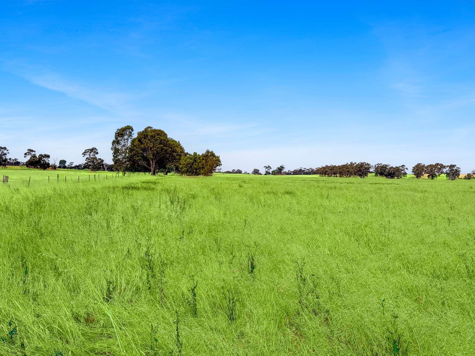 Lot 68 Penniment Road, Bordertown For Sale by Farmbuy.com - image 5