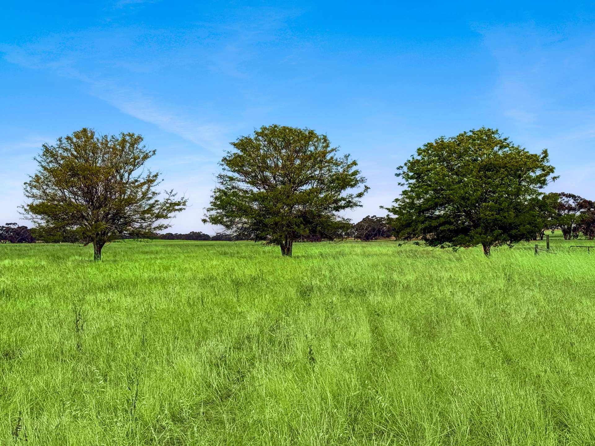 Lot 68 Penniment Road, Bordertown For Sale by Farmbuy.com - image 1