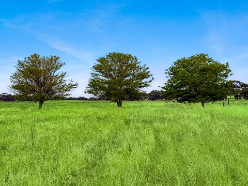 Farm For Sale - SA - Bordertown - 5268 - THREE TREES 