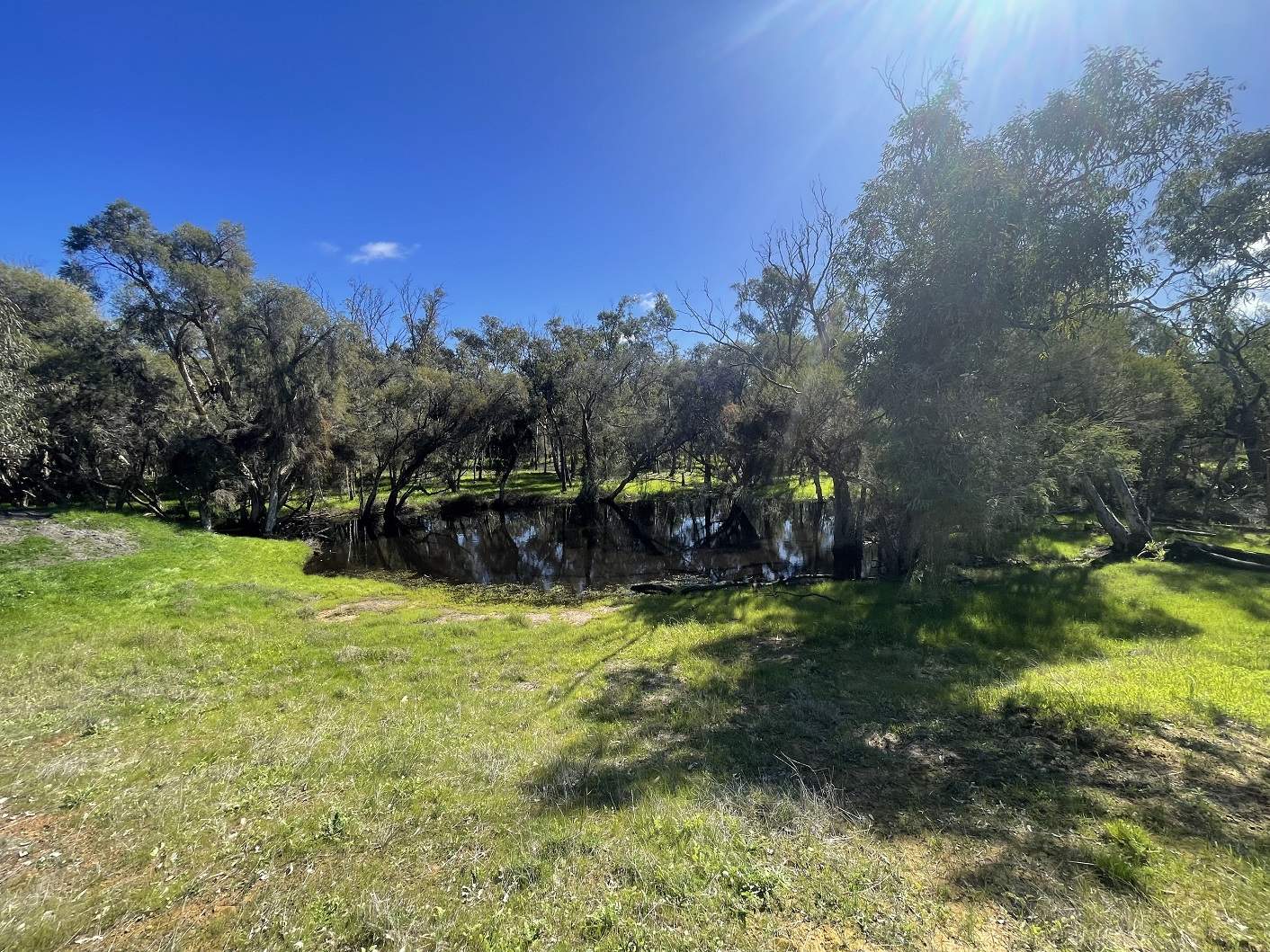 254 Springhill Road, Hill River For Sale by Farmbuy.com - image 1