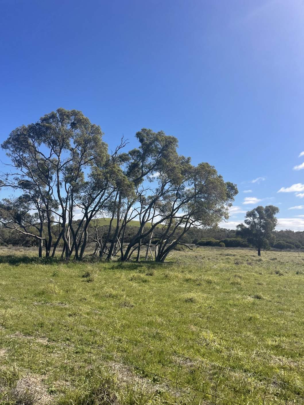 254 Springhill Road, Hill River For Sale by Farmbuy.com - image 10