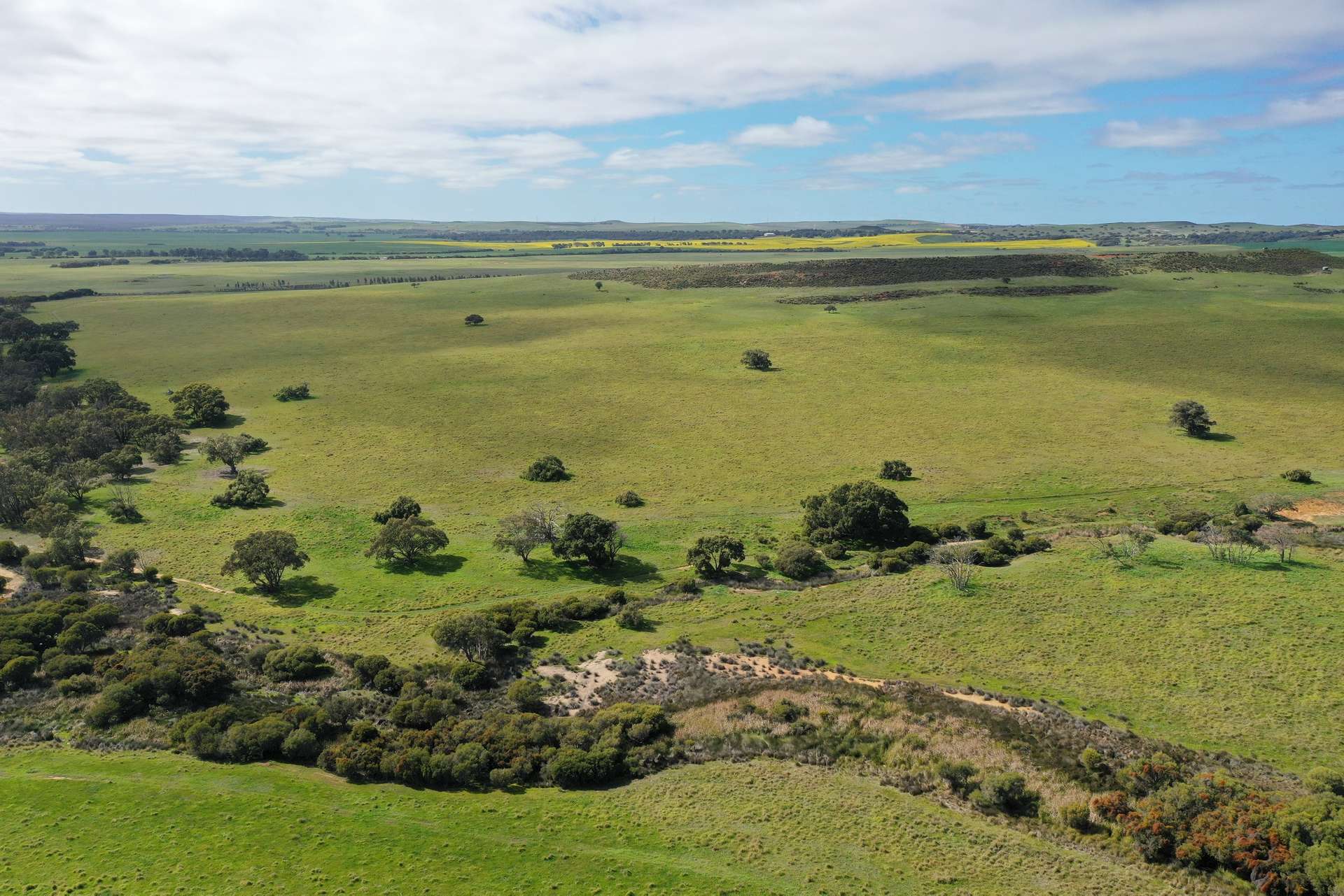254 Springhill Road, Hill River For Sale by Farmbuy.com - image 2