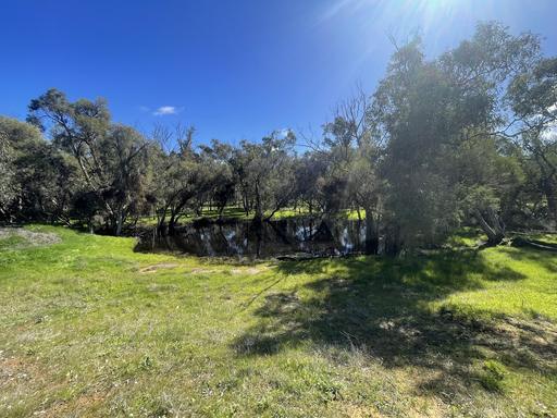 Farm For Sale - WA - Hill River - 6521 - "Hill River View" 