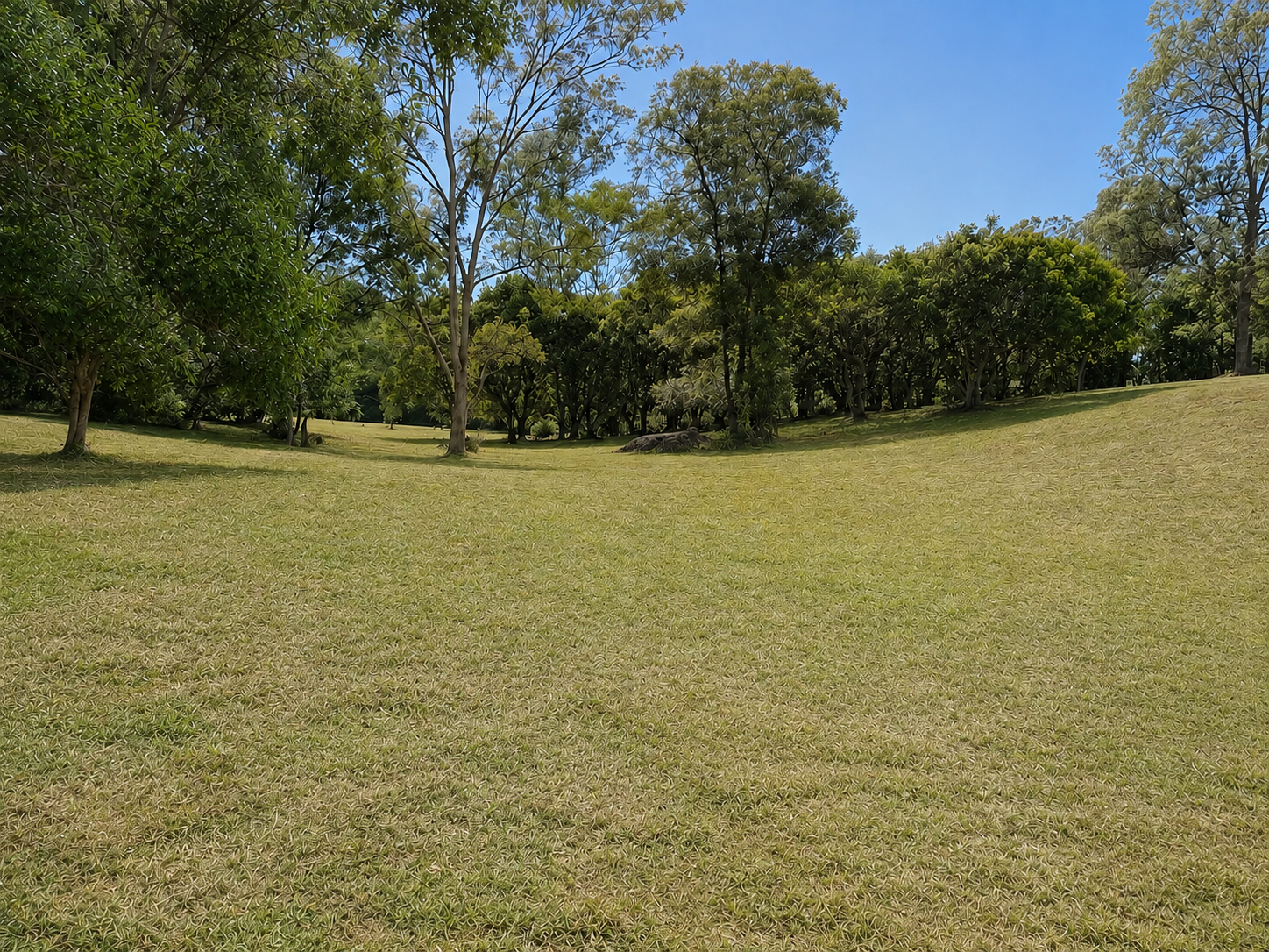 394 Wahpunga Lane, Kin Kin For Sale by Farmbuy.com - image 22