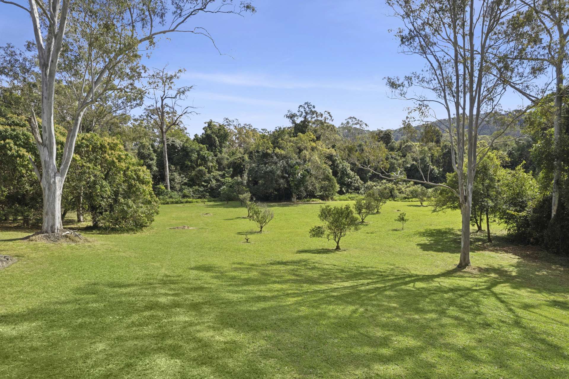 394 Wahpunga Lane, Kin Kin For Sale by Farmbuy.com - image 13