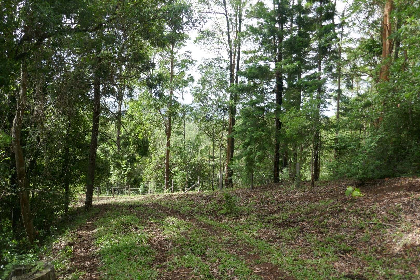 432 Sargents Road, Kyogle For Sale by Farmbuy.com - image 8