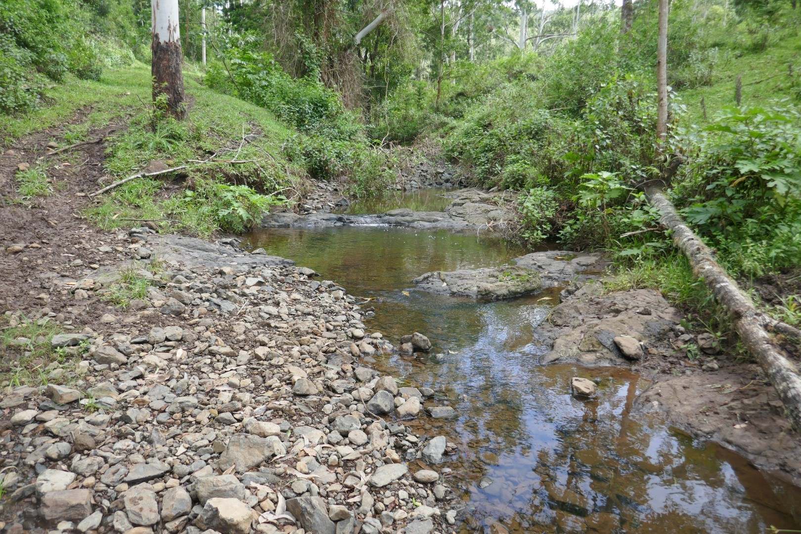 432 Sargents Road, Kyogle For Sale by Farmbuy.com - image 1