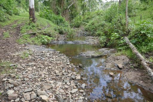 Farm For Sale - NSW - Kyogle - 2474 - HIDDEN VALLEY 