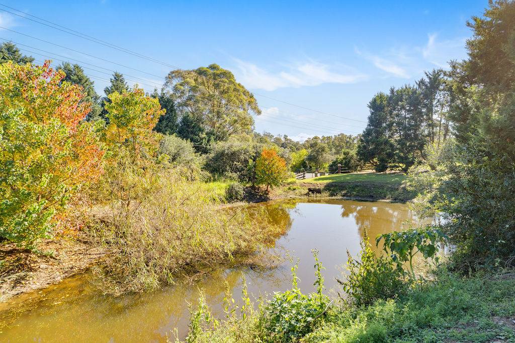 175 Glendiver Road, The Oaks For Sale by Farmbuy.com - image 30