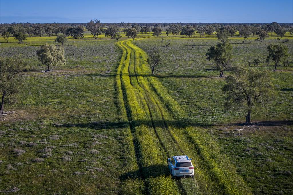 1744 Cumberdoon Way, Walgett NSW 2832