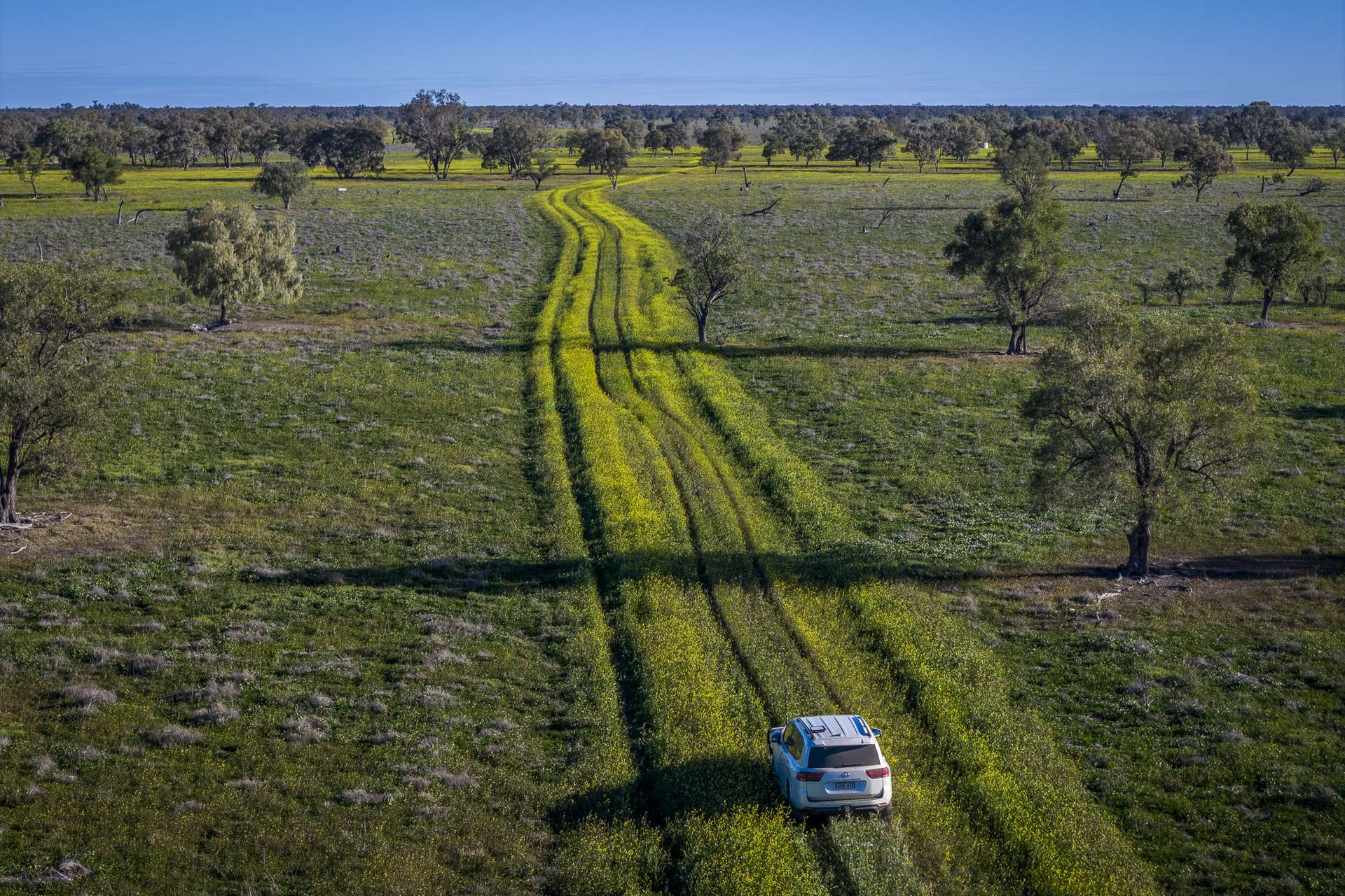 1744 Cumberdoon Way, Walgett Auction by Farmbuy.com - image 1