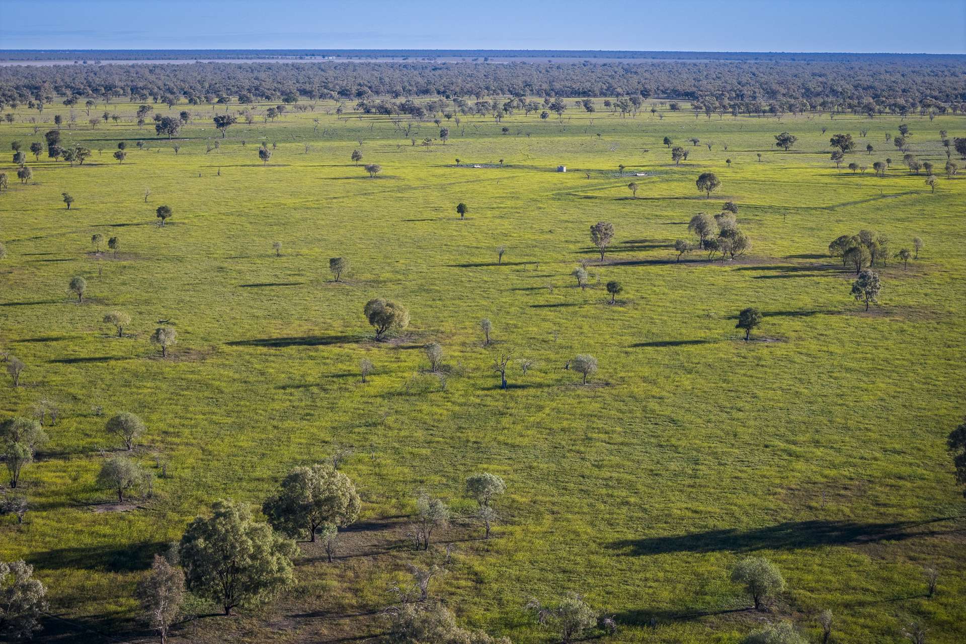1744 Cumberdoon Way, Walgett Auction by Farmbuy.com - image 2
