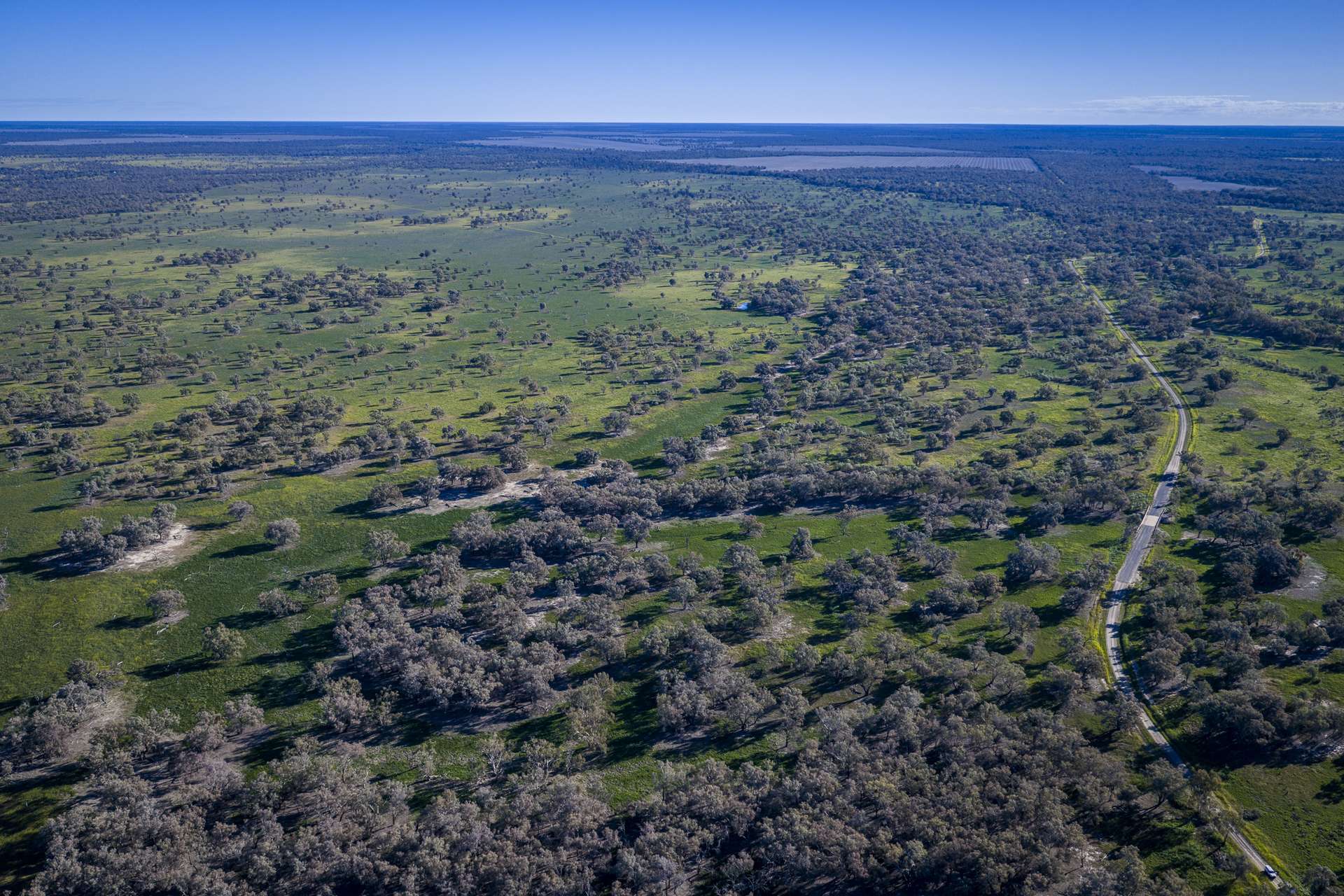1744 Cumberdoon Way, Walgett Auction by Farmbuy.com - image 6