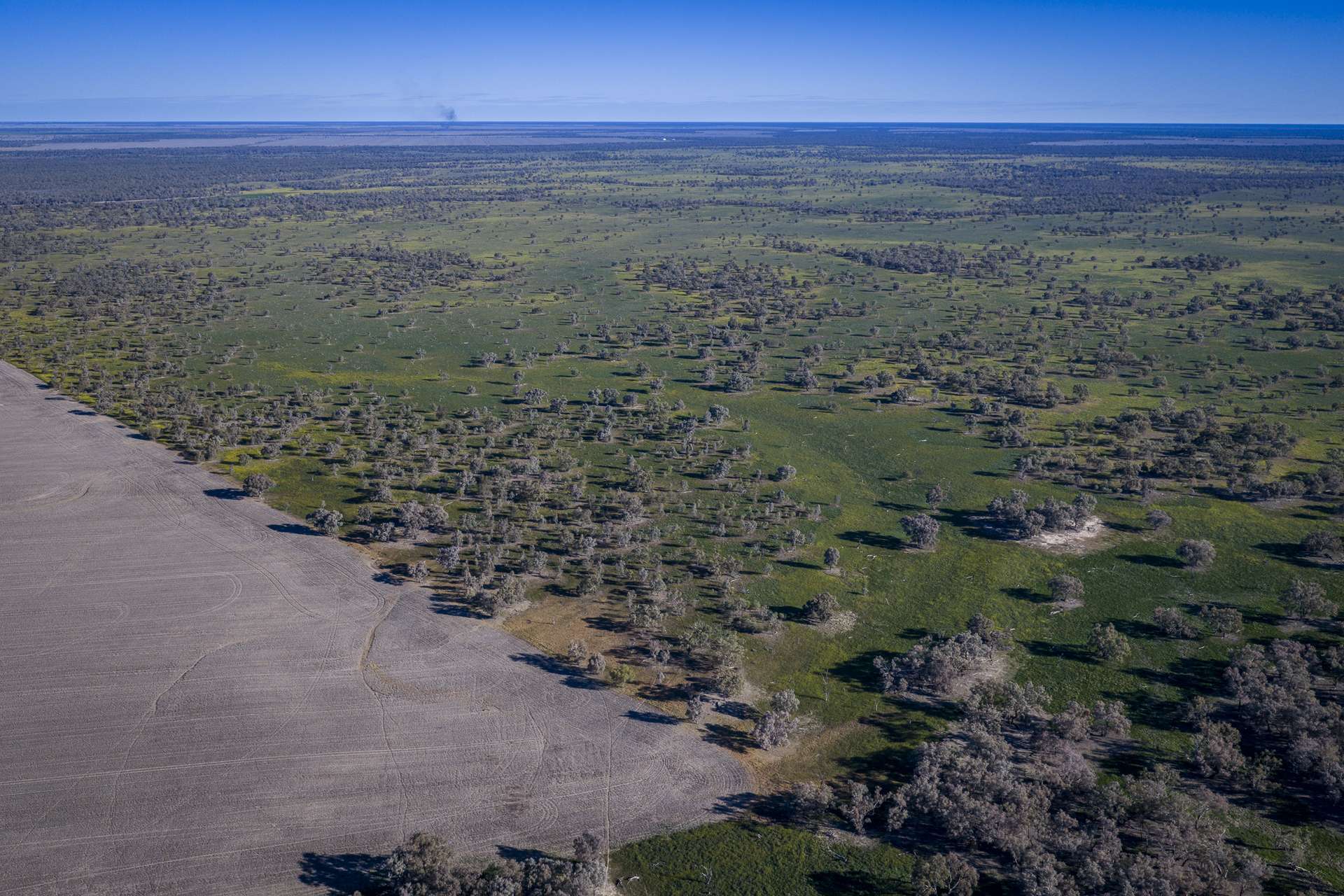 1744 Cumberdoon Way, Walgett Auction by Farmbuy.com - image 5