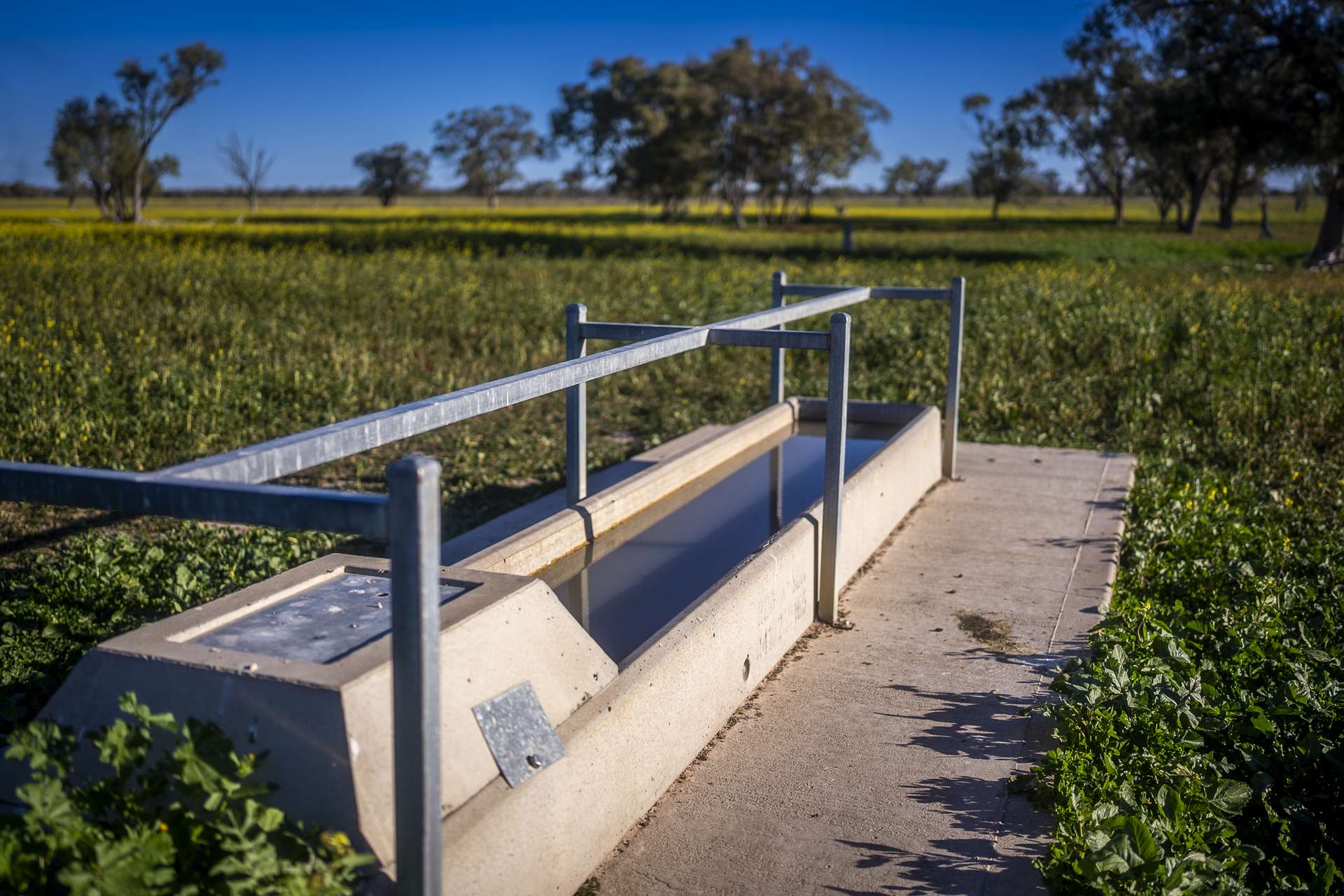 1744 Cumberdoon Way, Walgett Auction by Farmbuy.com - image 13