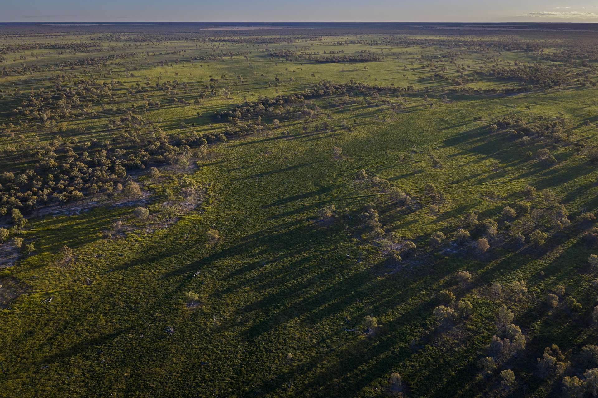 1744 Cumberdoon Way, Walgett Auction by Farmbuy.com - image 17