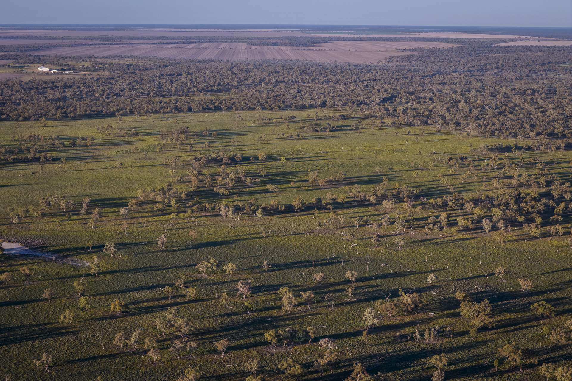 1744 Cumberdoon Way, Walgett Auction by Farmbuy.com - image 24