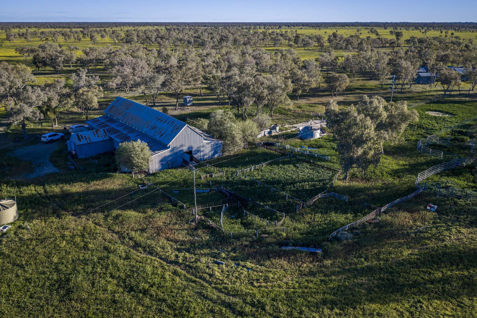 1744 Cumberdoon Way, Walgett Auction by Farmbuy.com - image 21