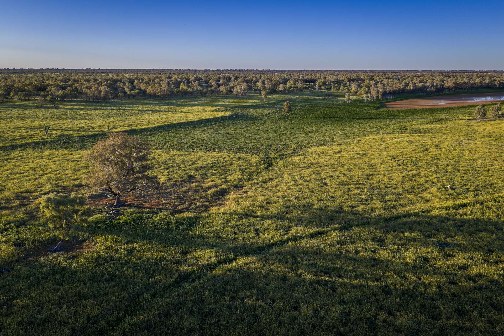1744 Cumberdoon Way, Walgett Auction by Farmbuy.com - image 16