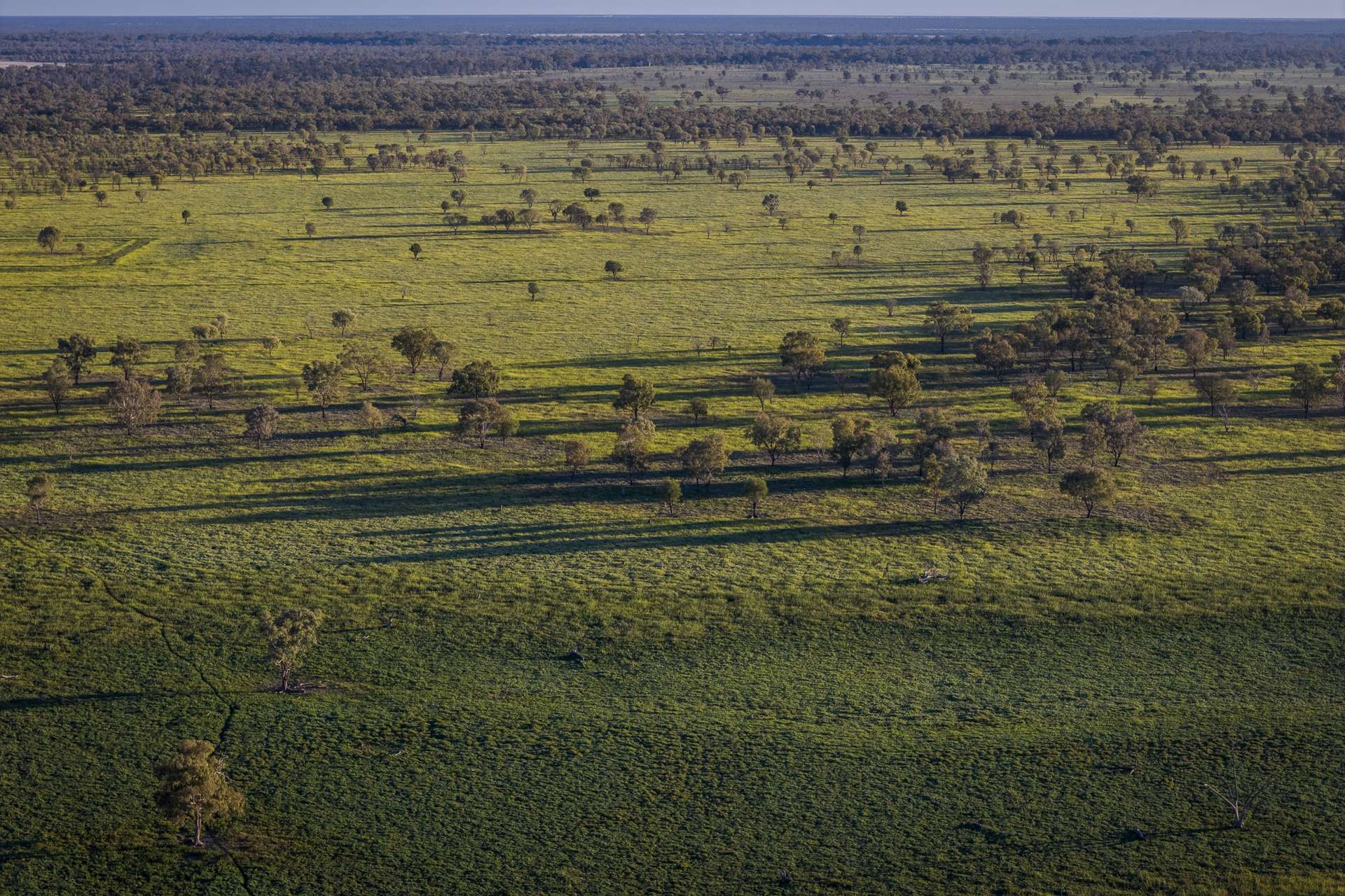 1744 Cumberdoon Way, Walgett Auction by Farmbuy.com - image 25
