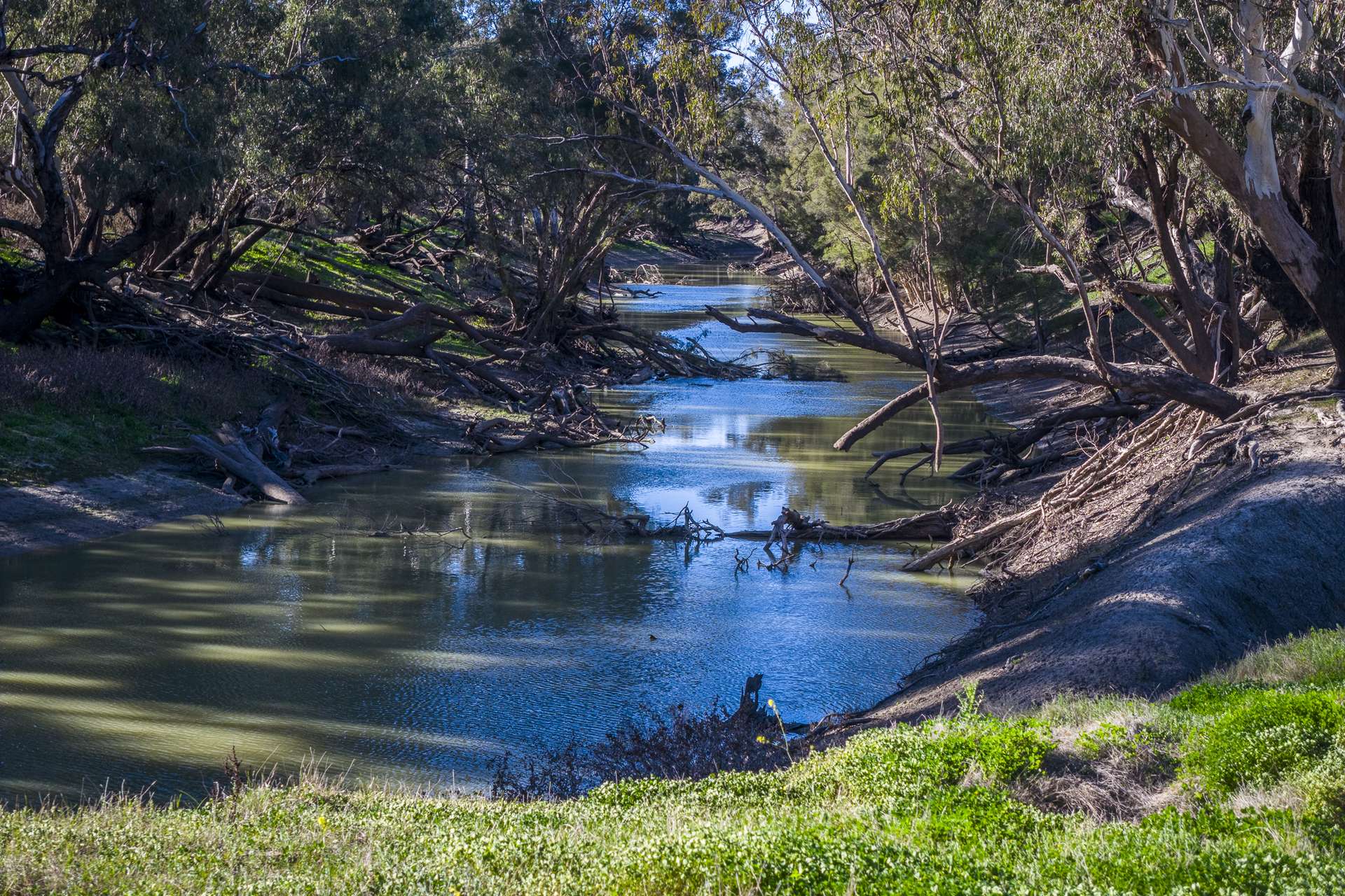 1744 Cumberdoon Way, Walgett Auction by Farmbuy.com - image 8