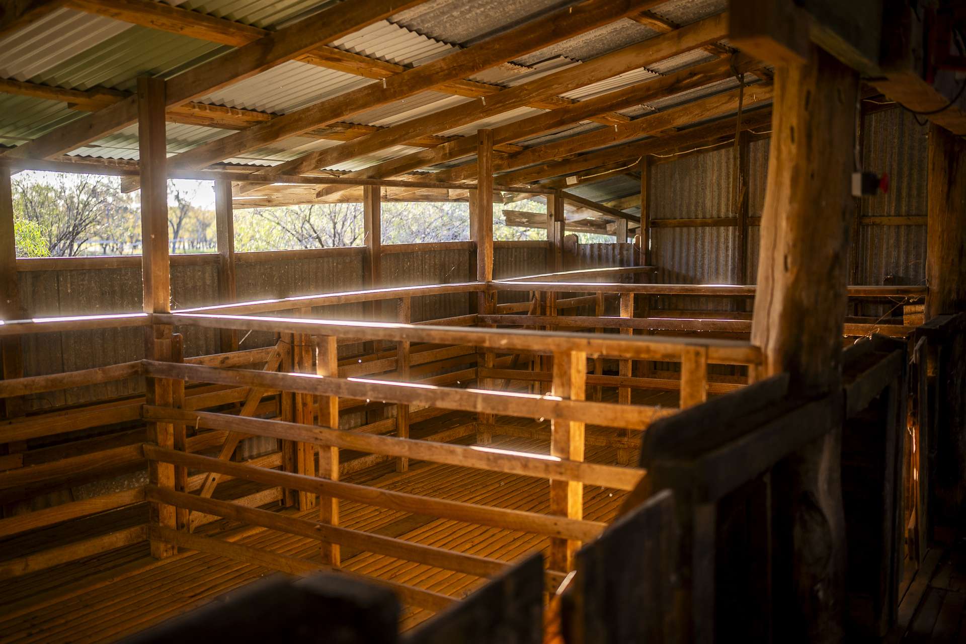 1744 Cumberdoon Way, Walgett Auction by Farmbuy.com - image 23