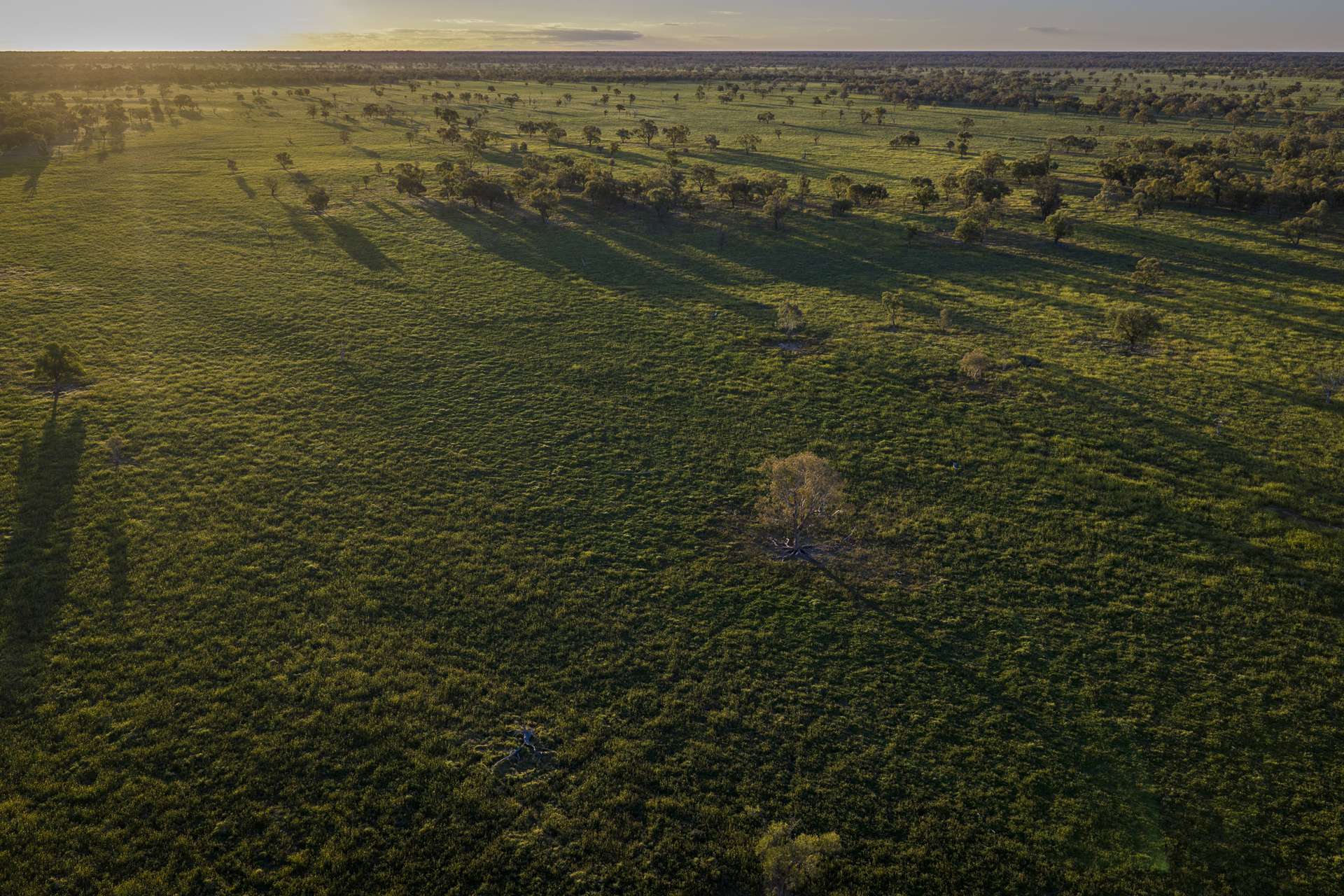 1744 Cumberdoon Way, Walgett Auction by Farmbuy.com - image 15