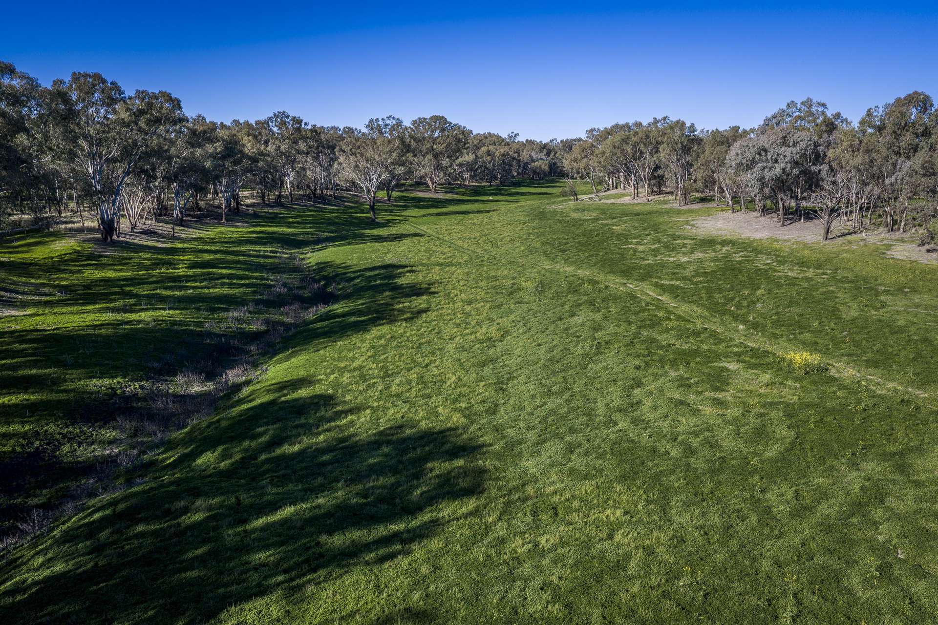 1744 Cumberdoon Way, Walgett Auction by Farmbuy.com - image 4