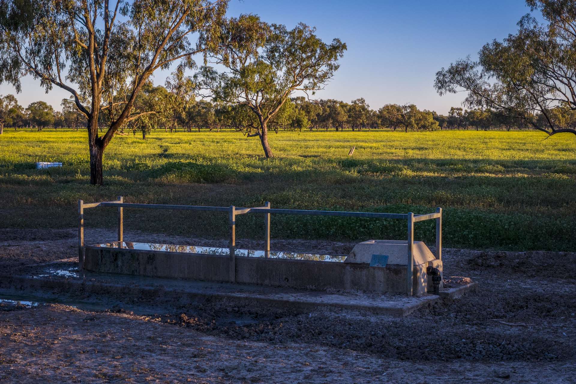 1744 Cumberdoon Way, Walgett Auction by Farmbuy.com - image 19