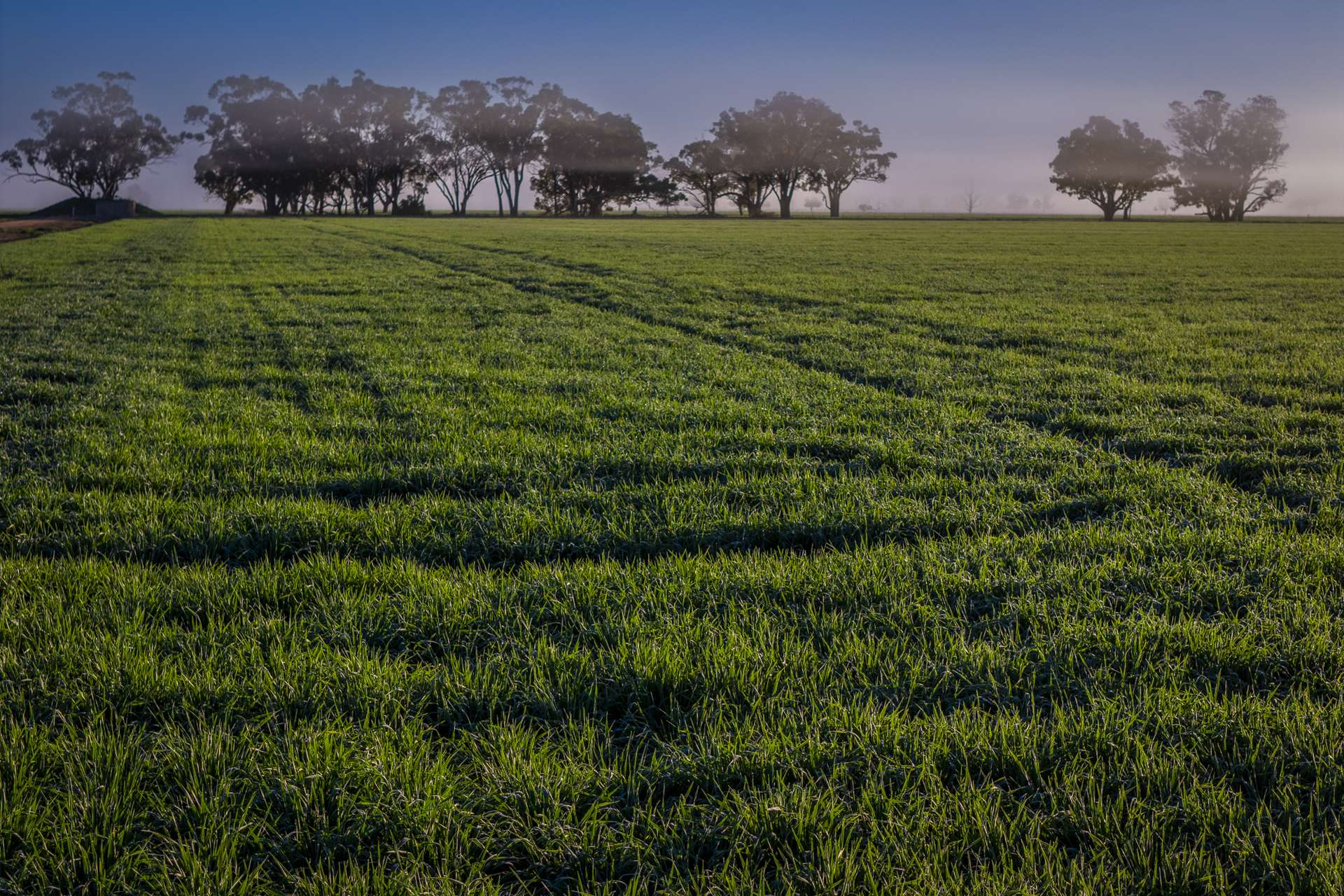 1048 Warren Road, Narromine Auction by Farmbuy.com - image 20