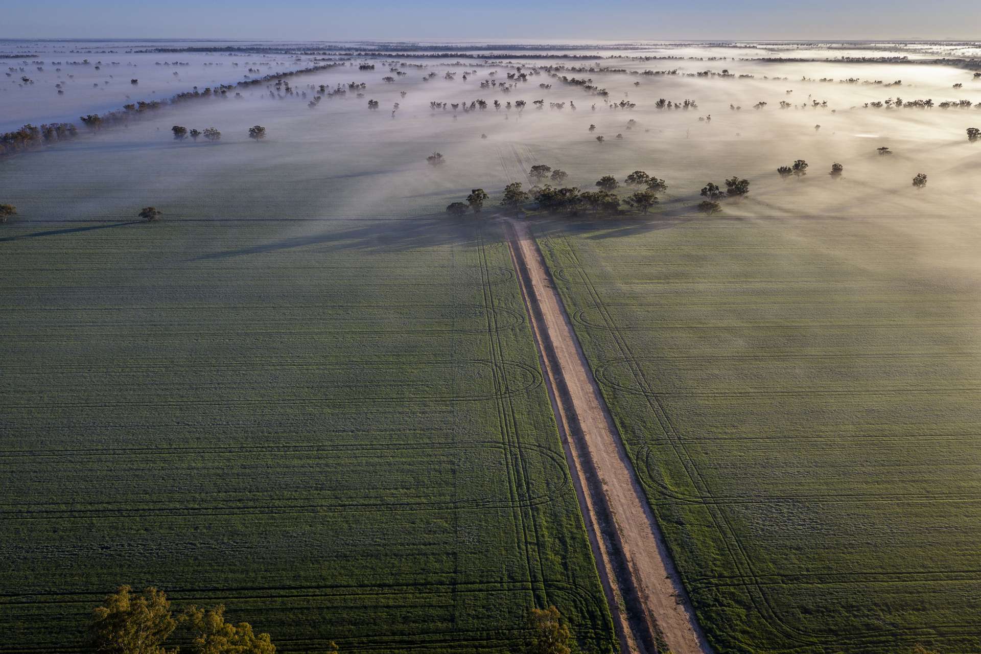 1048 Warren Road, Narromine Auction by Farmbuy.com - image 19