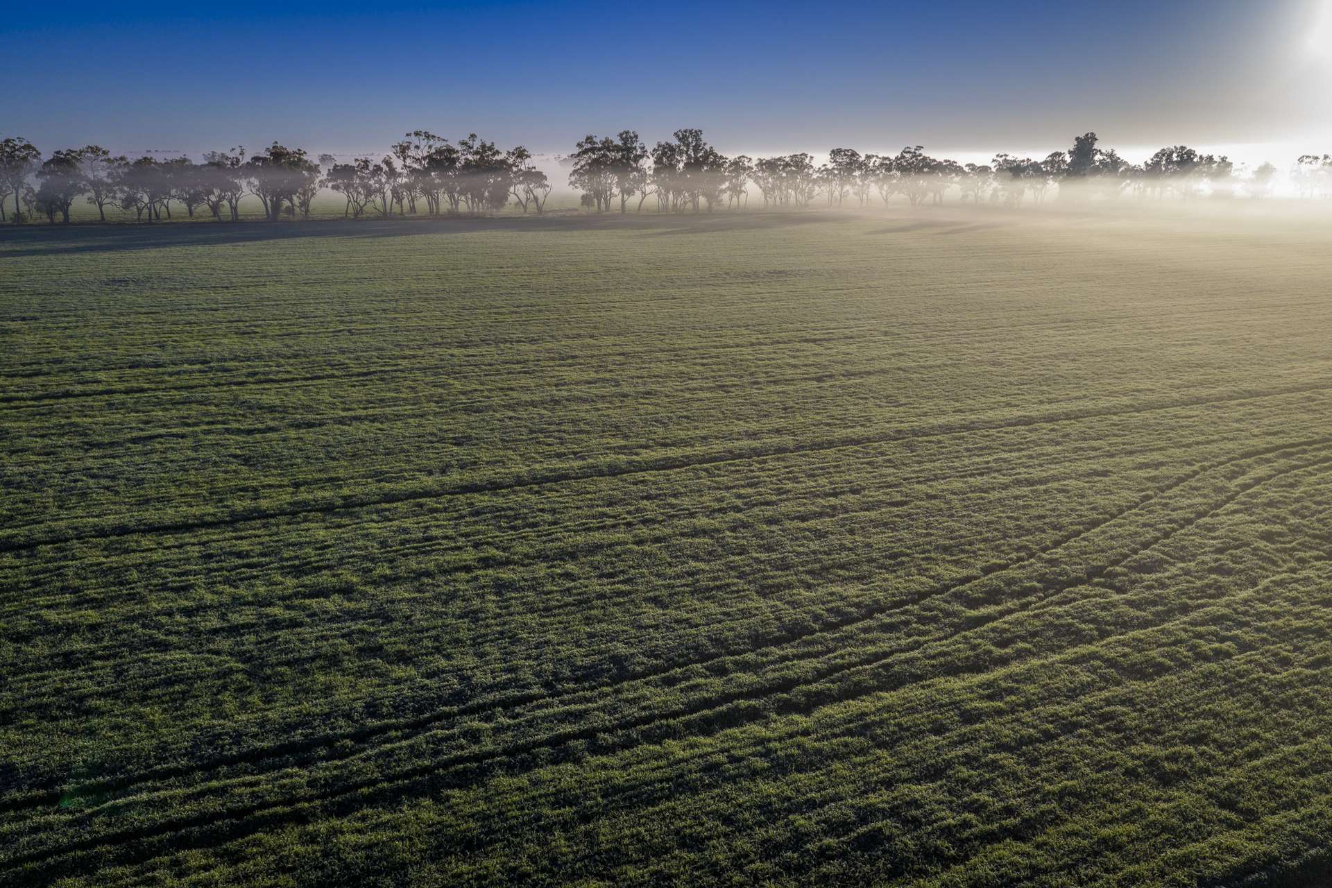 1048 Warren Road, Narromine Auction by Farmbuy.com - image 21