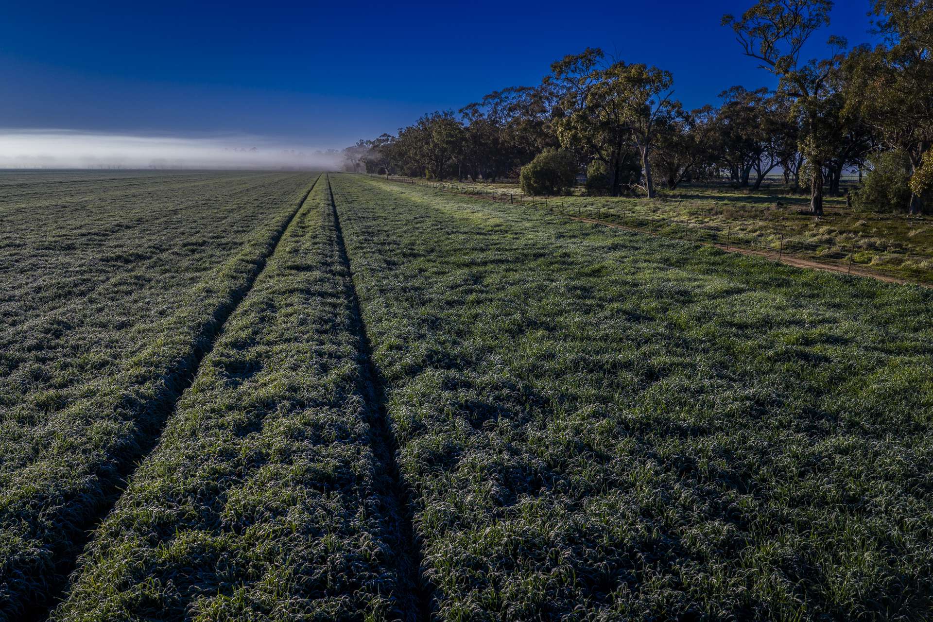 1048 Warren Road, Narromine Auction by Farmbuy.com - image 24