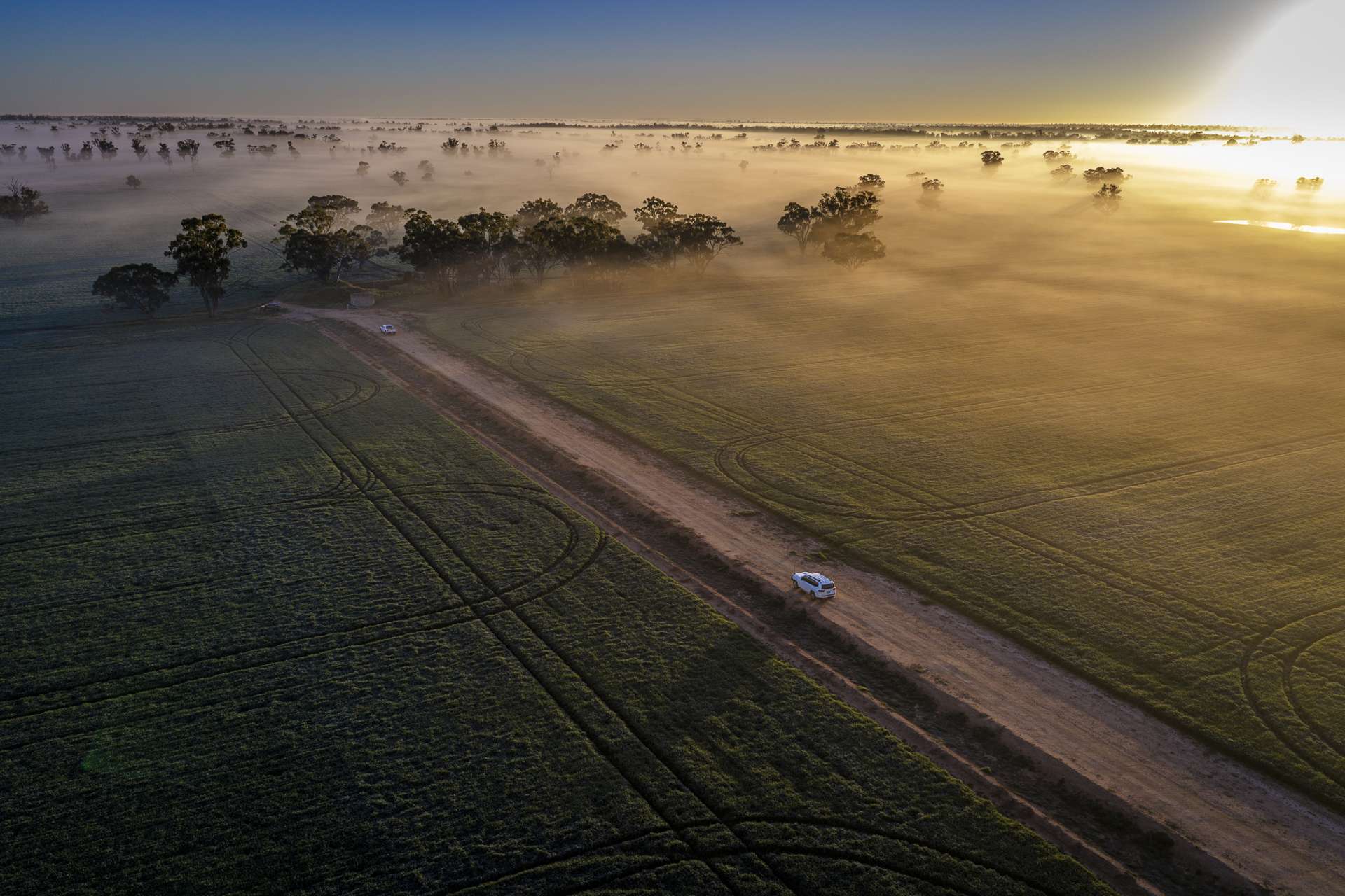 1048 Warren Road, Narromine Auction by Farmbuy.com - image 18