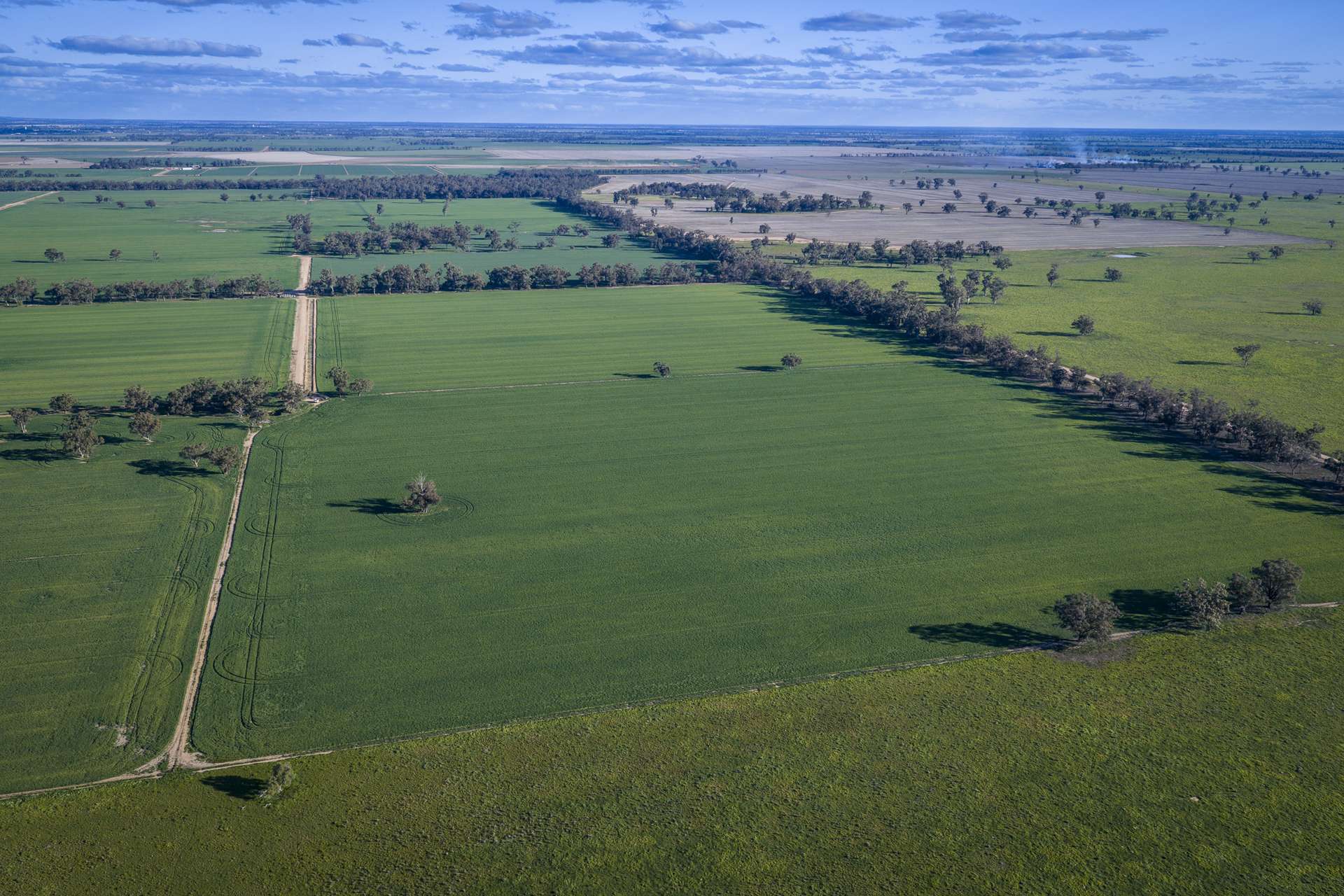 1048 Warren Road, Narromine Auction by Farmbuy.com - image 8