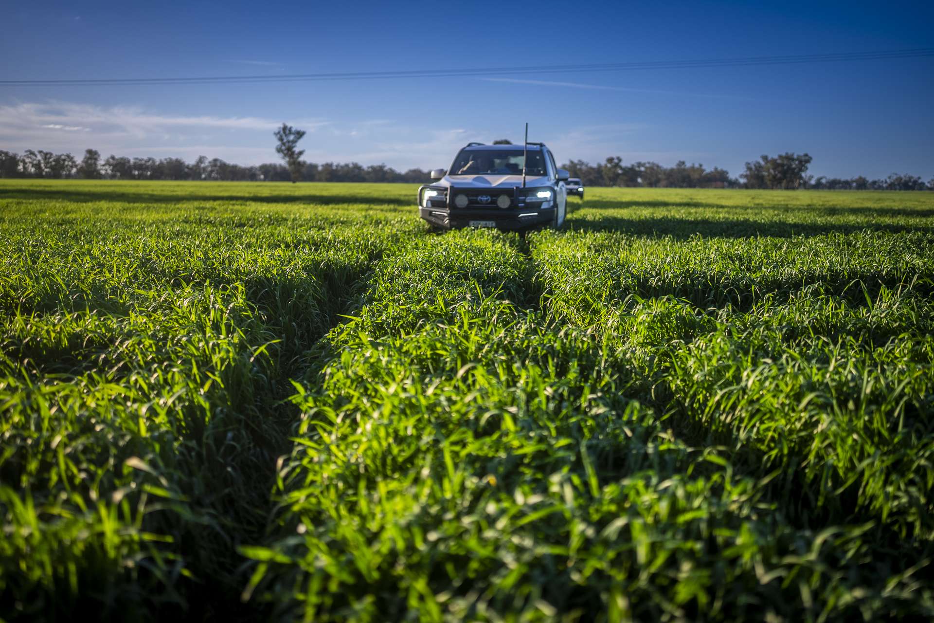 1048 Warren Road, Narromine Auction by Farmbuy.com - image 17