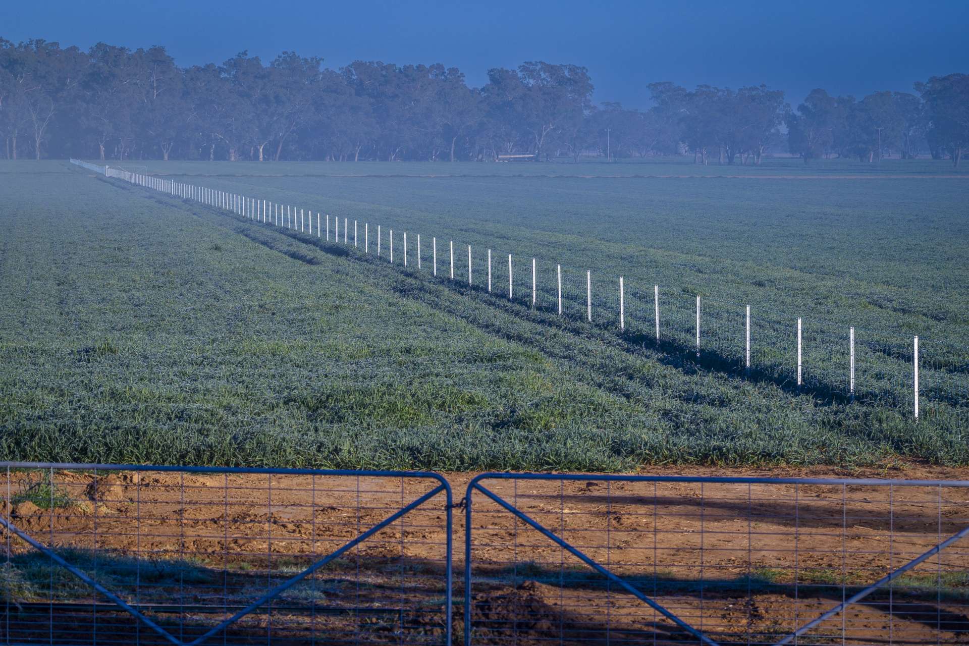 1048 Warren Road, Narromine Auction by Farmbuy.com - image 27