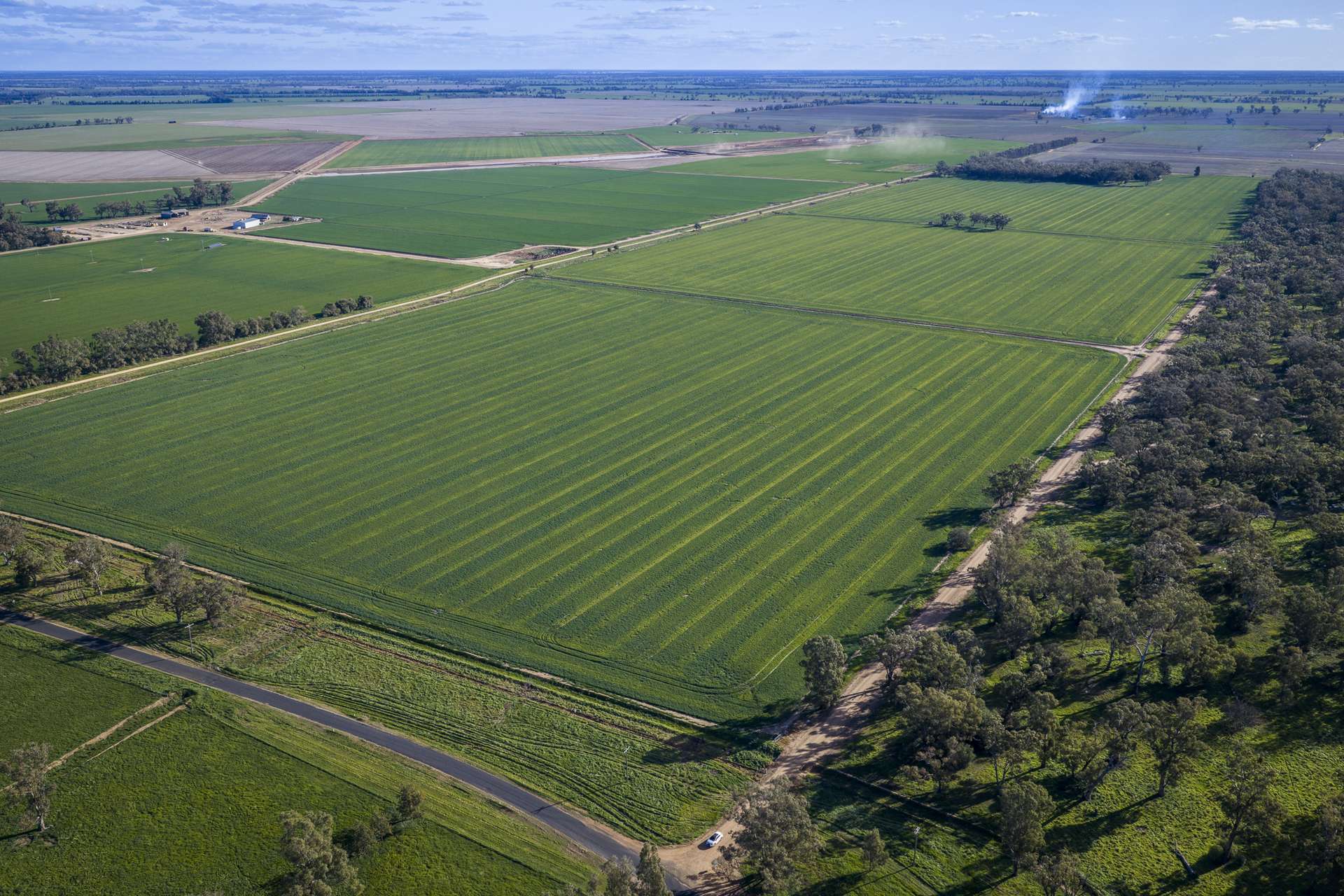1048 Warren Road, Narromine Auction by Farmbuy.com - image 3