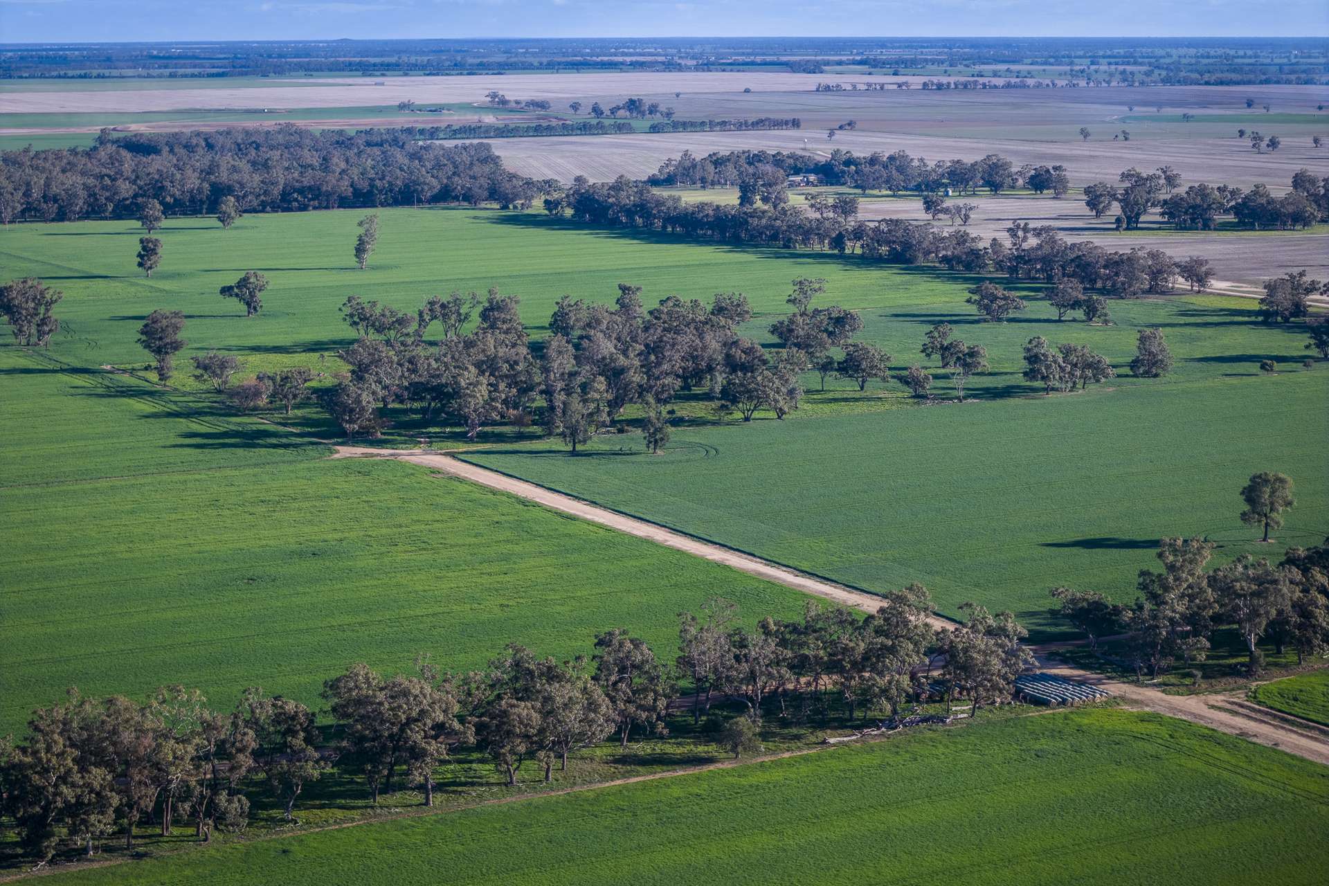 1048 Warren Road, Narromine Auction by Farmbuy.com - image 9