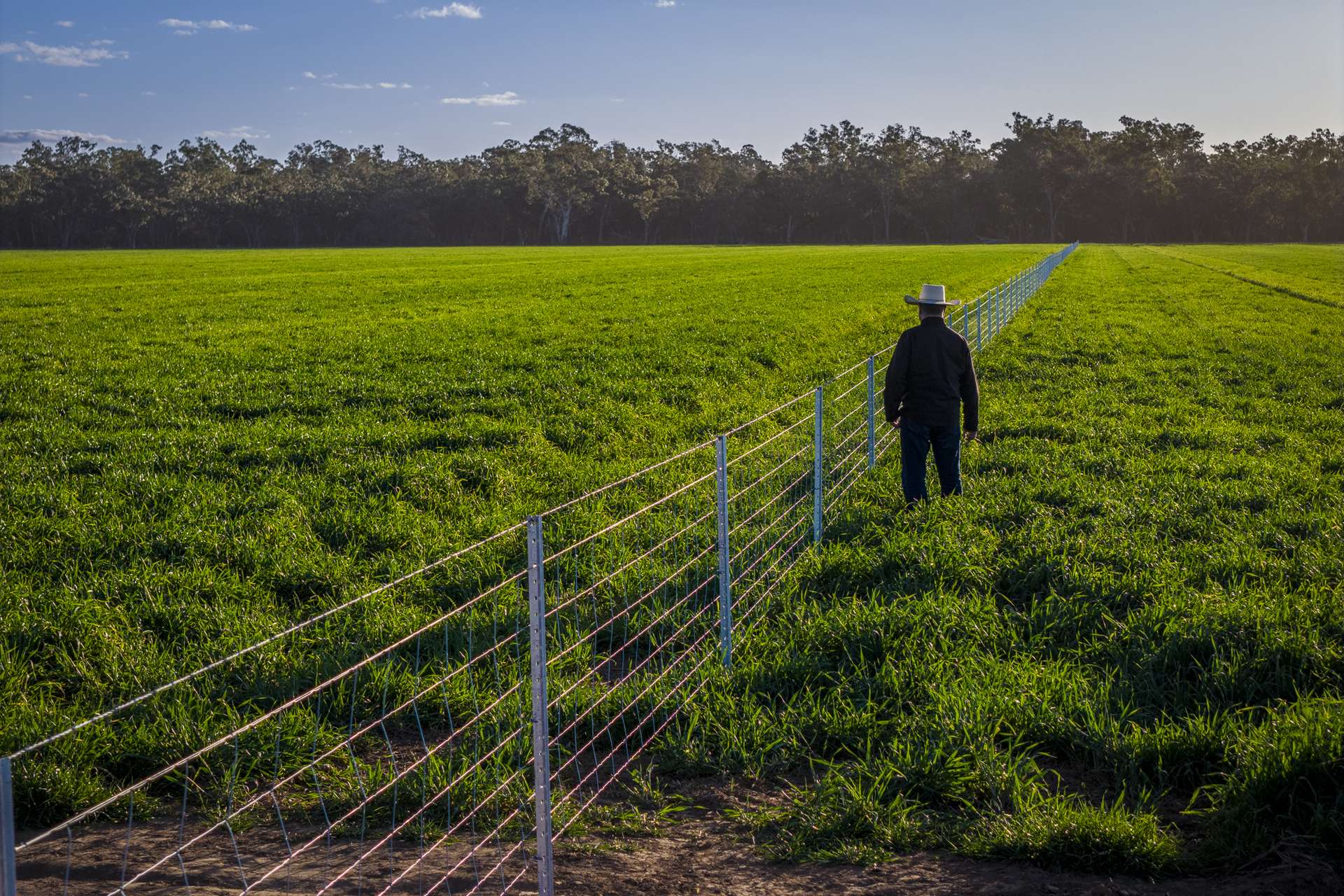 1048 Warren Road, Narromine Auction by Farmbuy.com - image 13