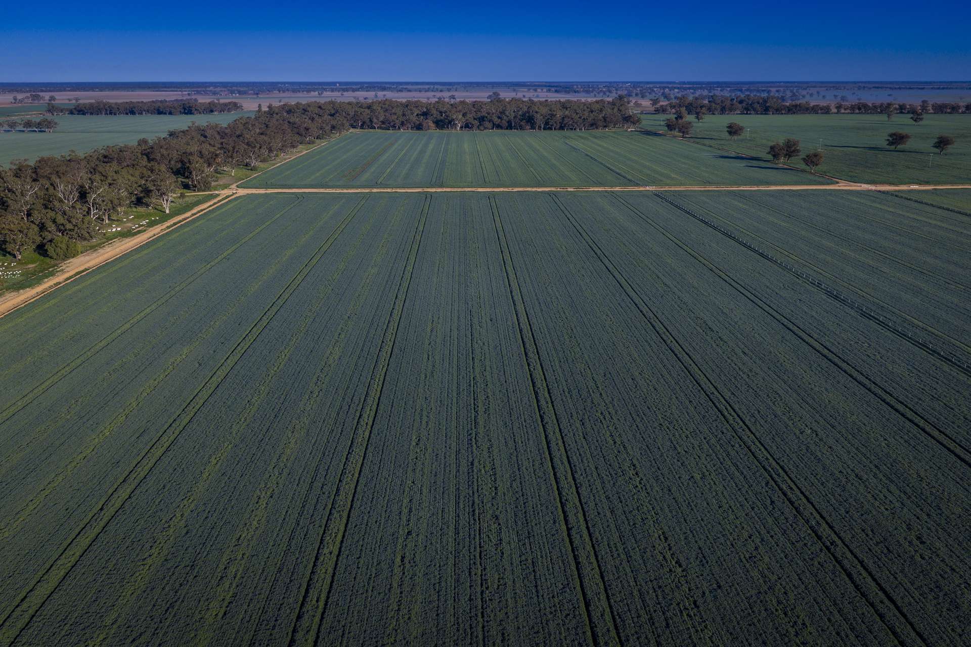 1048 Warren Road, Narromine Auction by Farmbuy.com - image 26