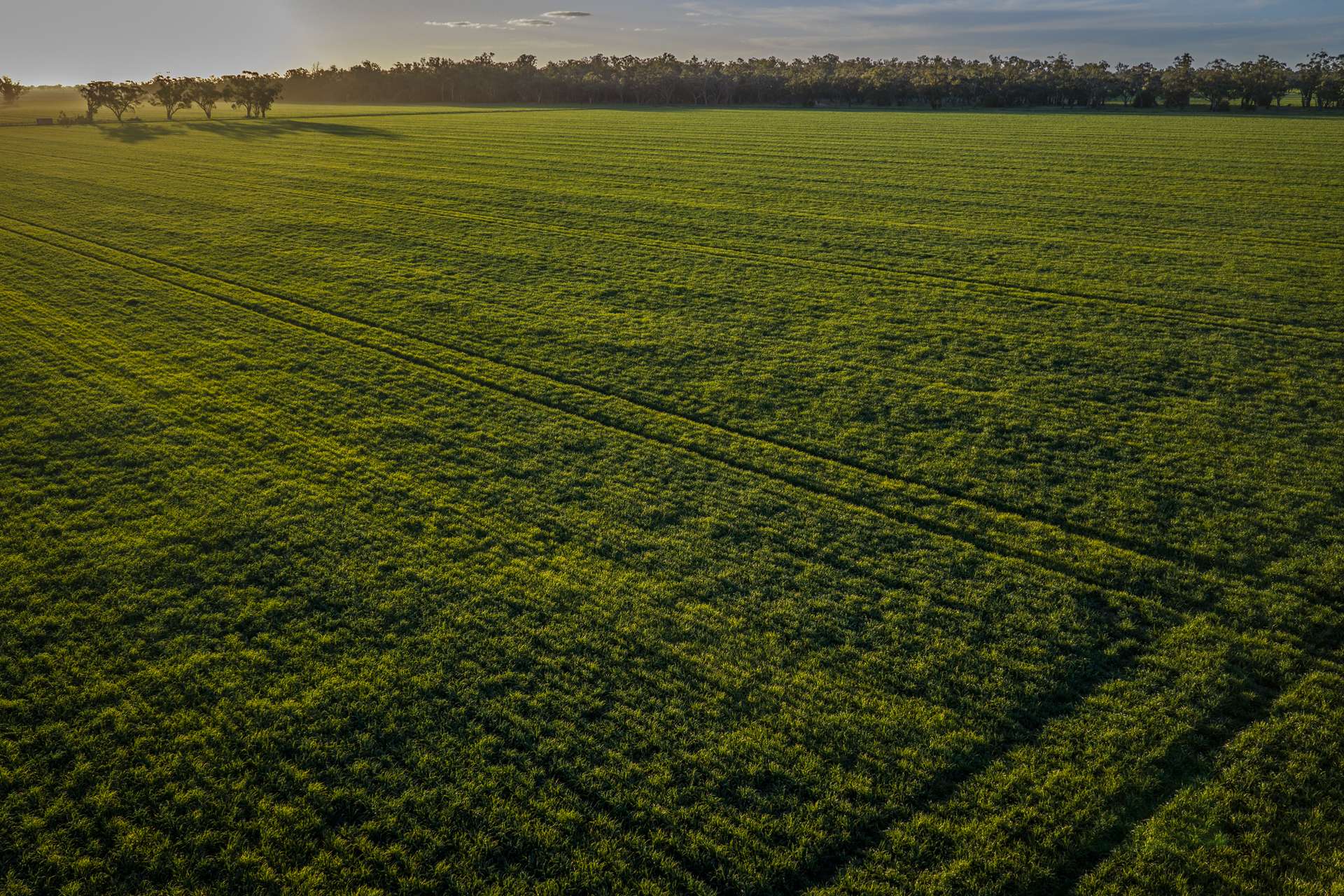 1048 Warren Road, Narromine Auction by Farmbuy.com - image 15