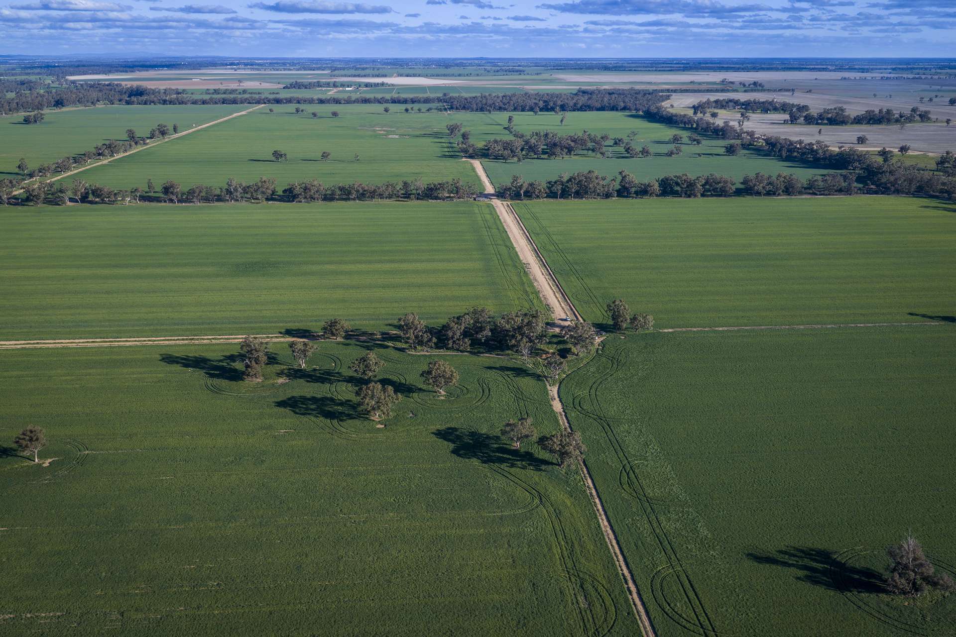 1048 Warren Road, Narromine Auction by Farmbuy.com - image 7