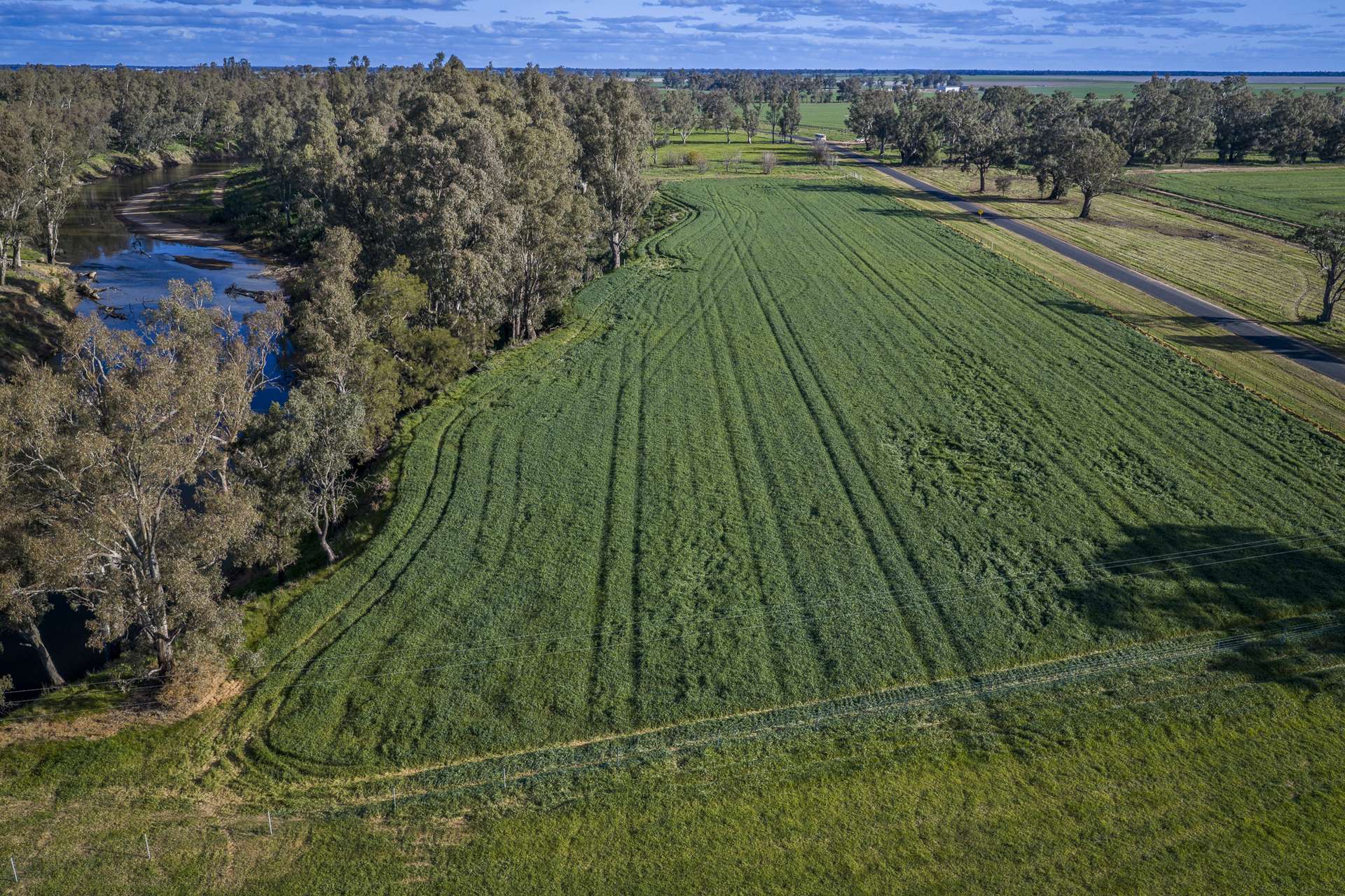 1048 Warren Road, Narromine Auction by Farmbuy.com - image 6