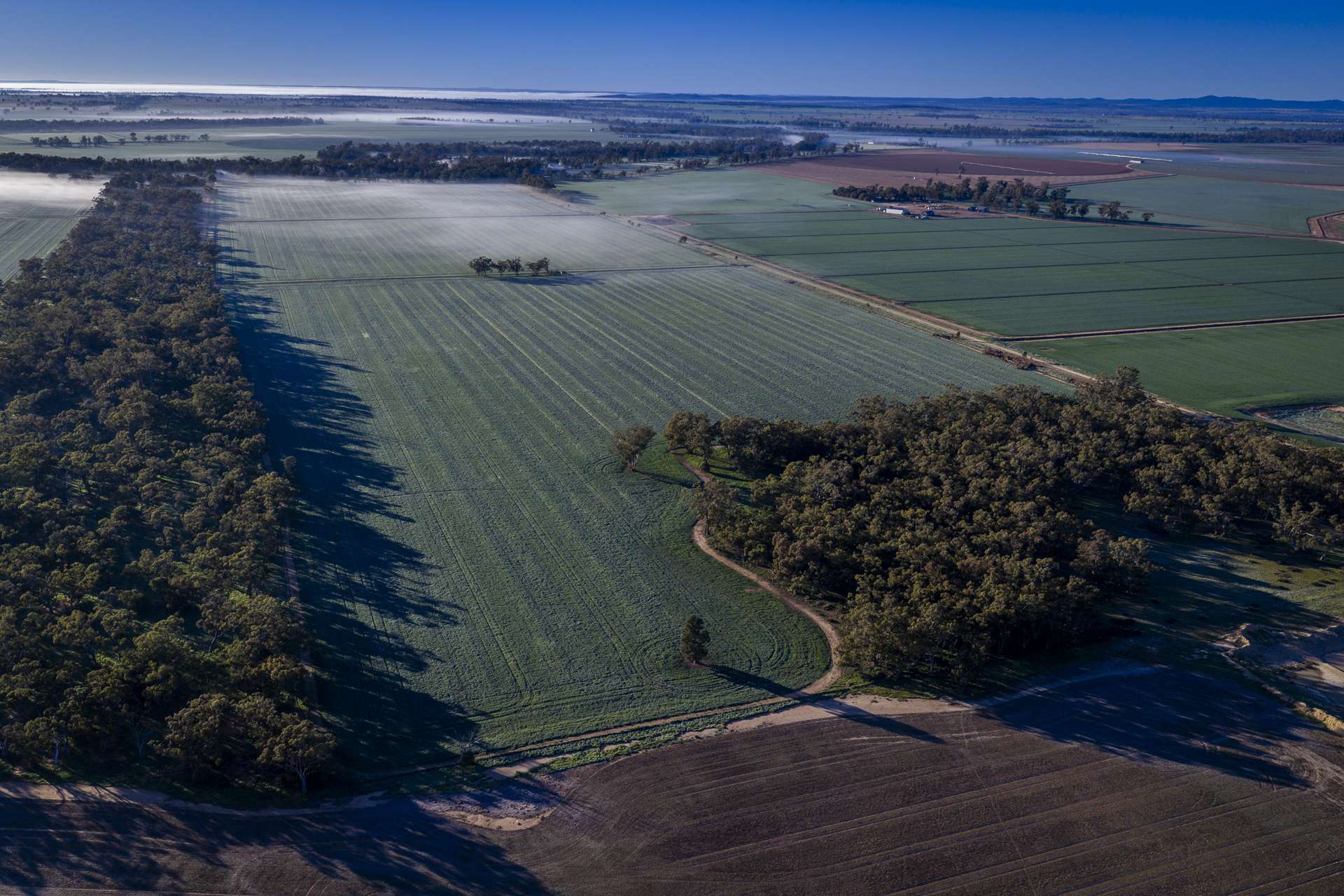 1048 Warren Road, Narromine Auction by Farmbuy.com - image 25